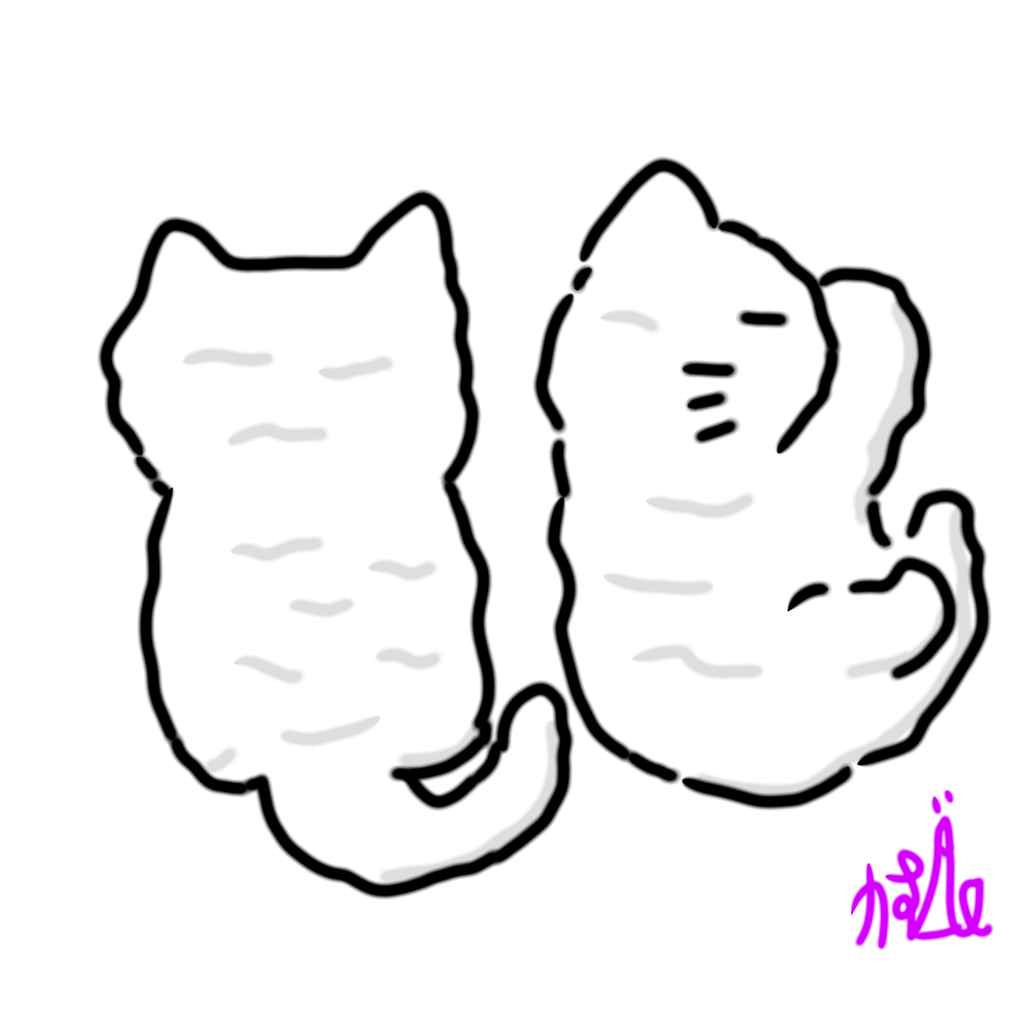 わたぐもにゃん