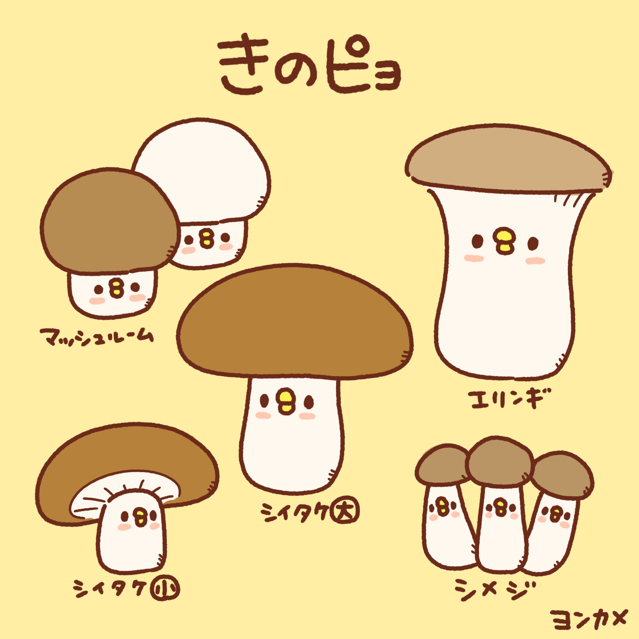 きのピョ