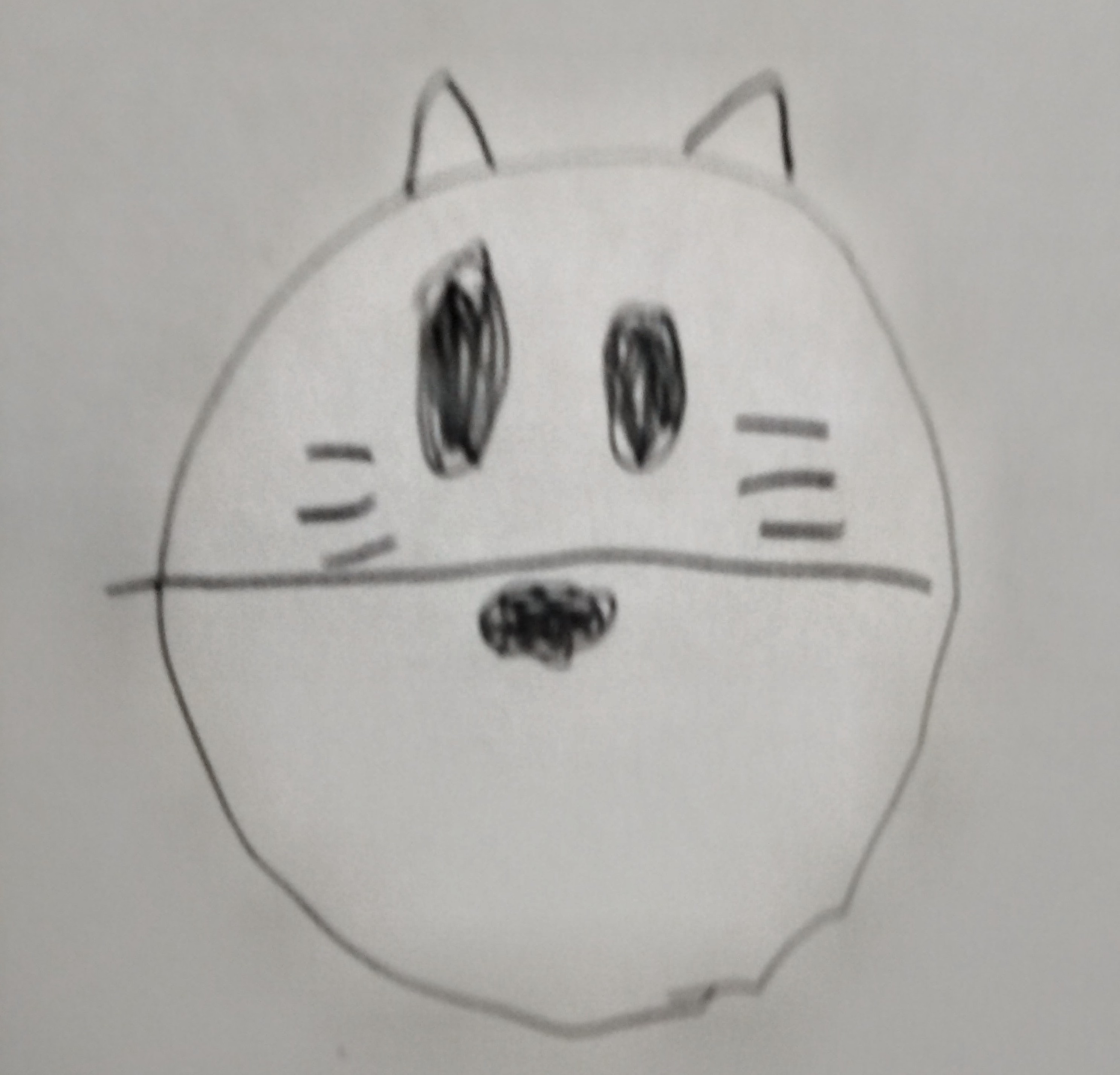 白猫