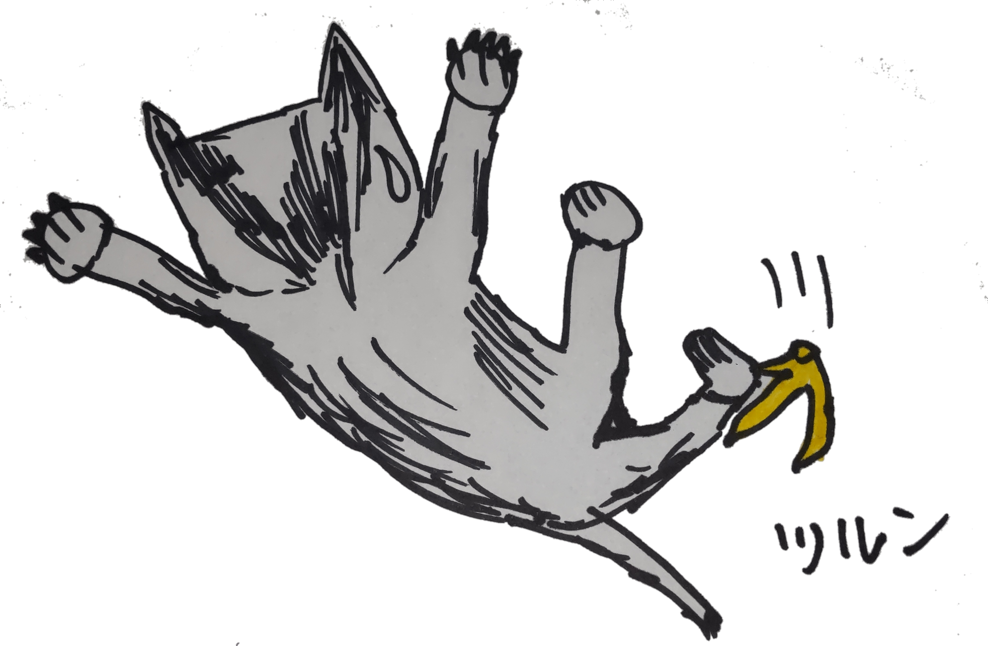 スベリアンハスキー