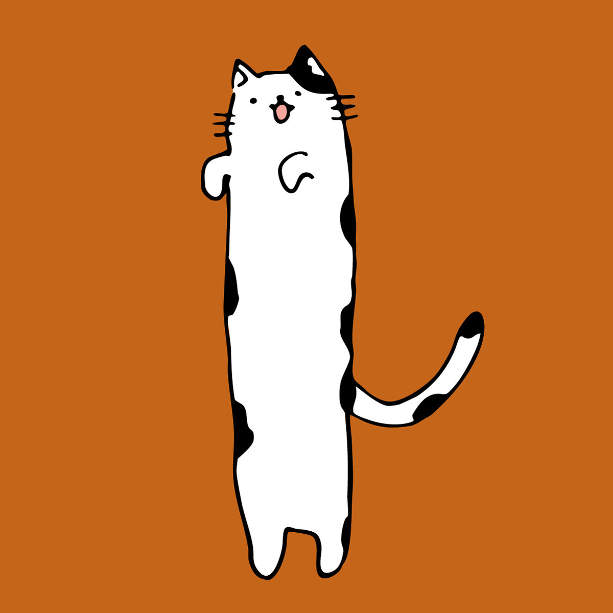 チンアニャゴ
