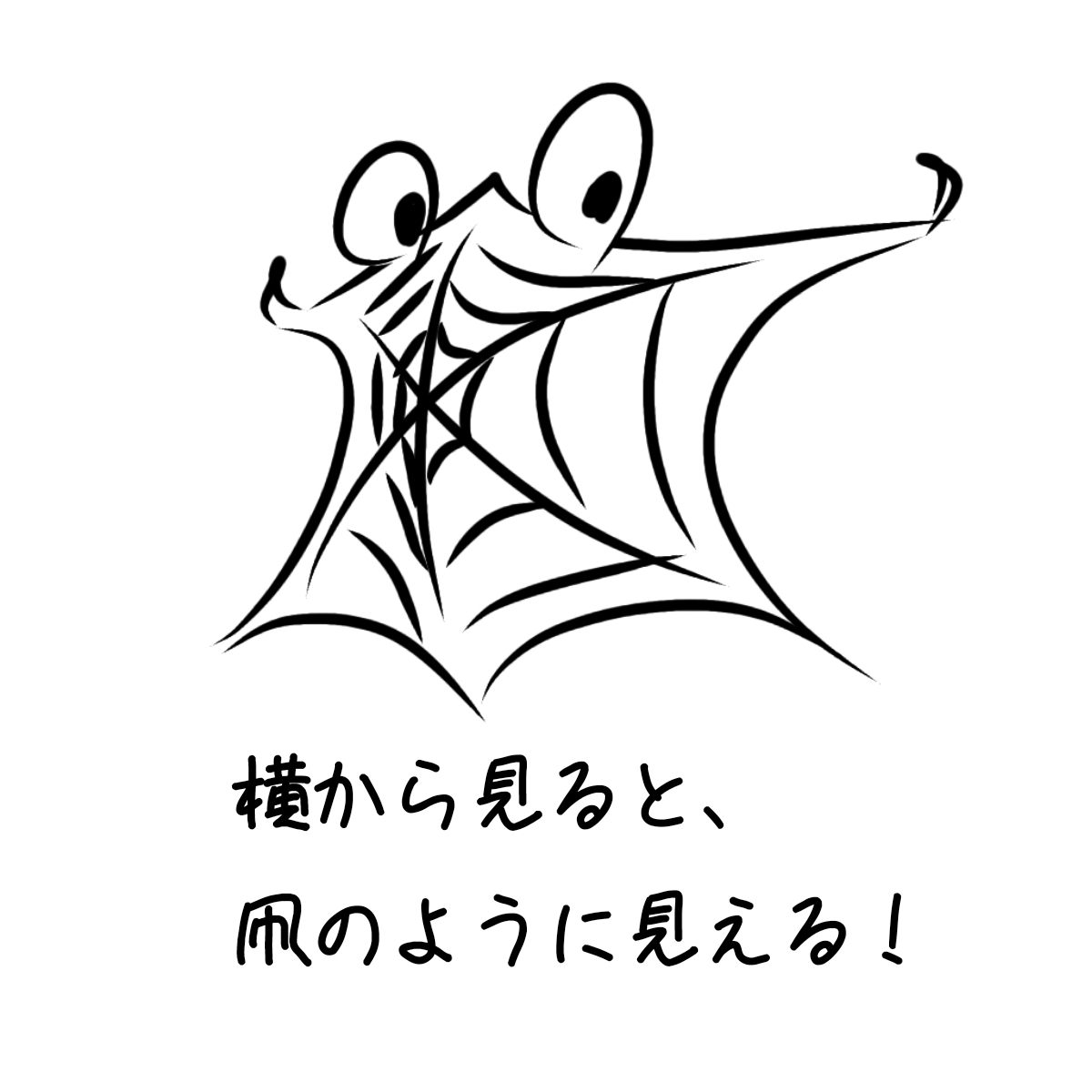 スパイダーカイト