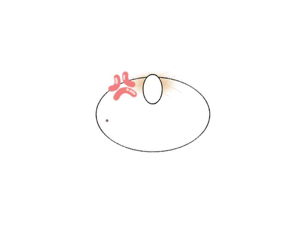 もちあんじゅ