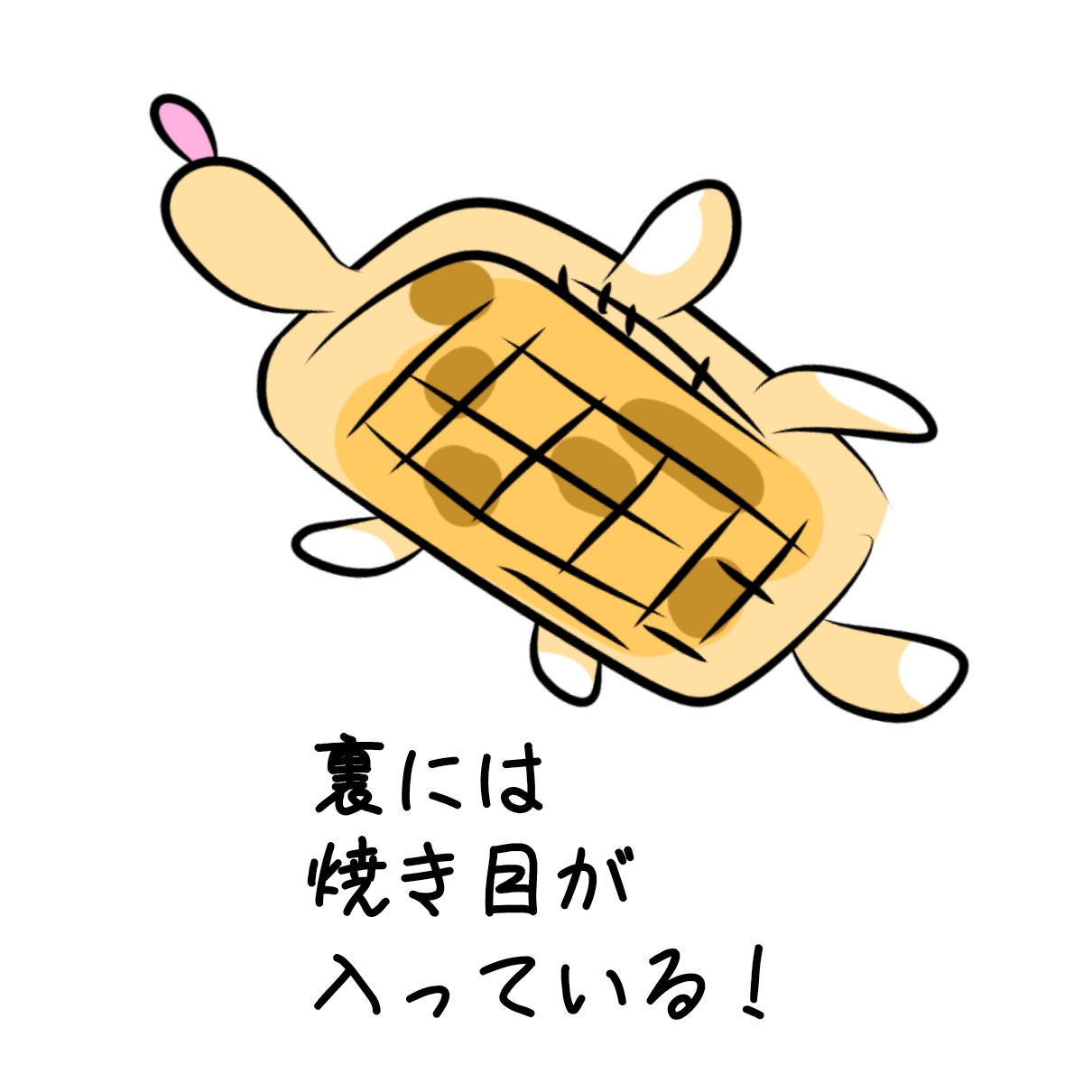 焼き餅カメ