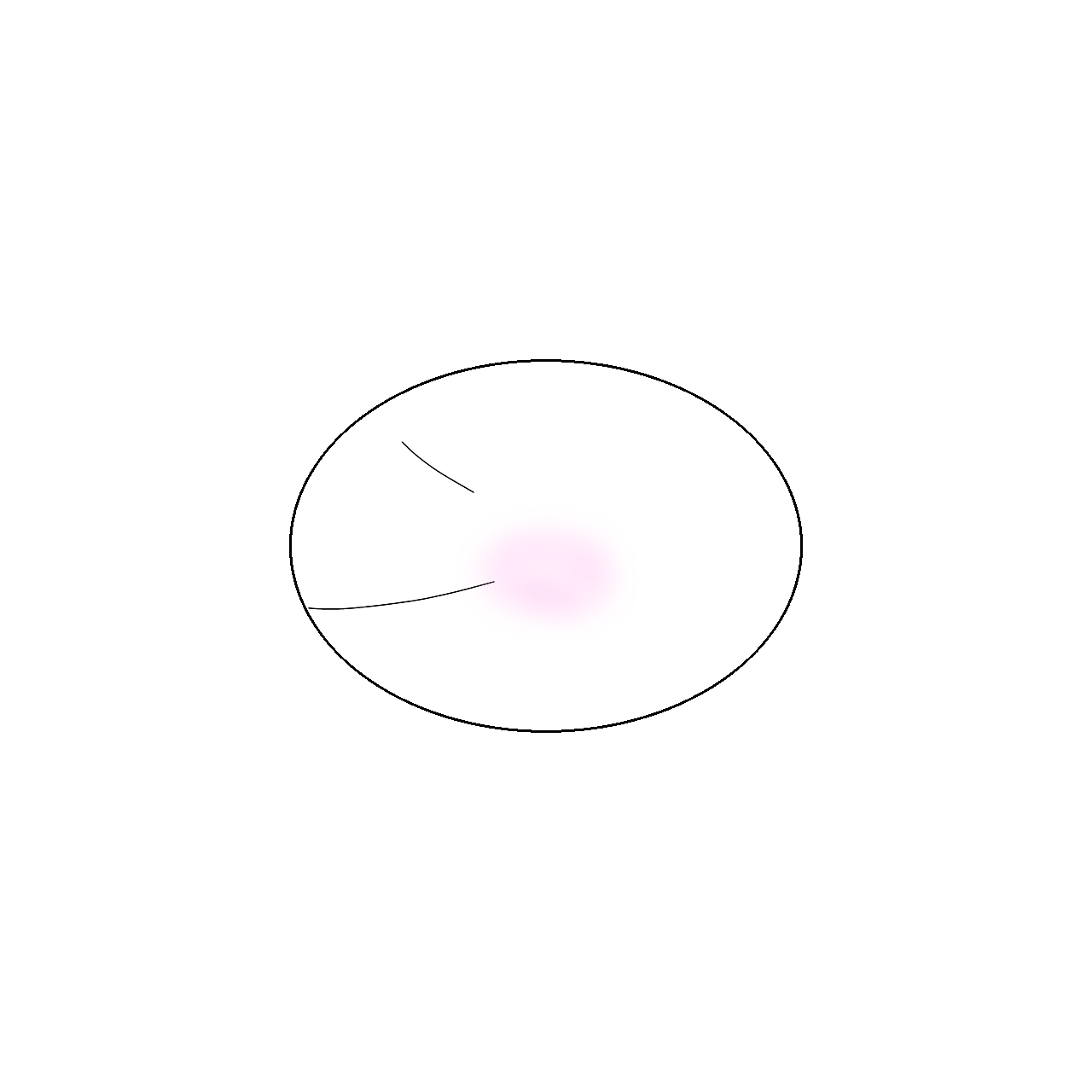 もちょちゃ