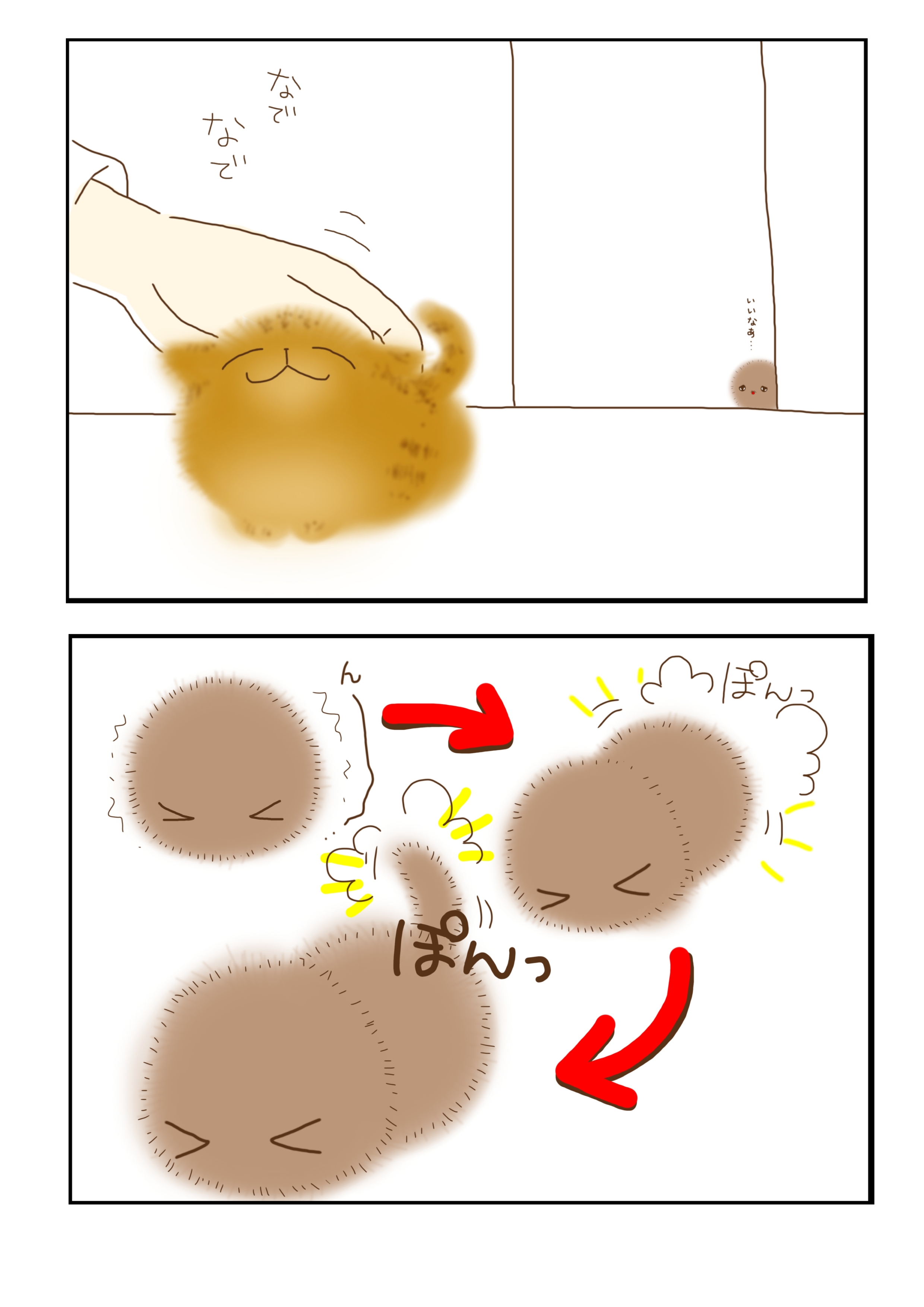コネコモドキ