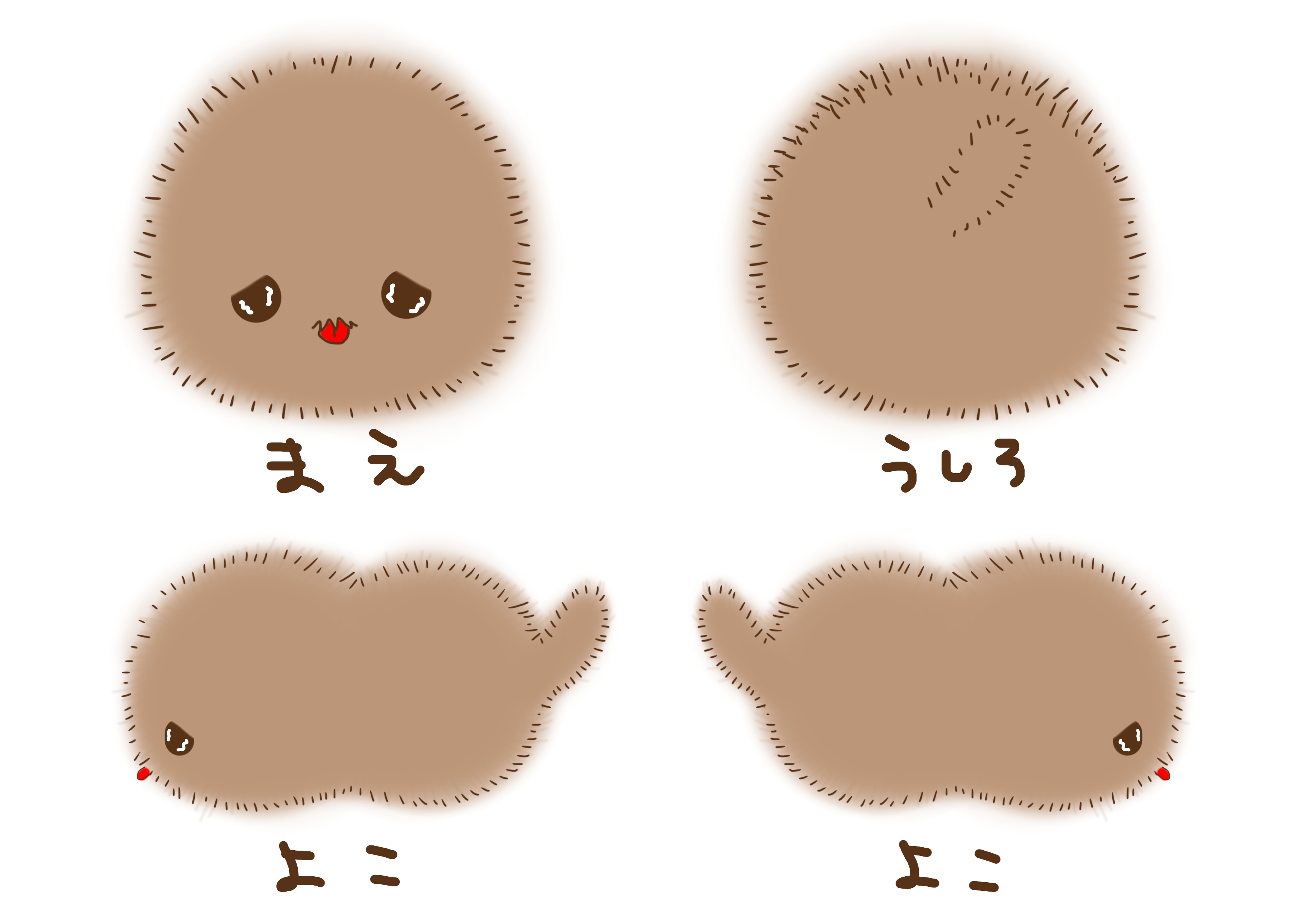 コネコモドキ