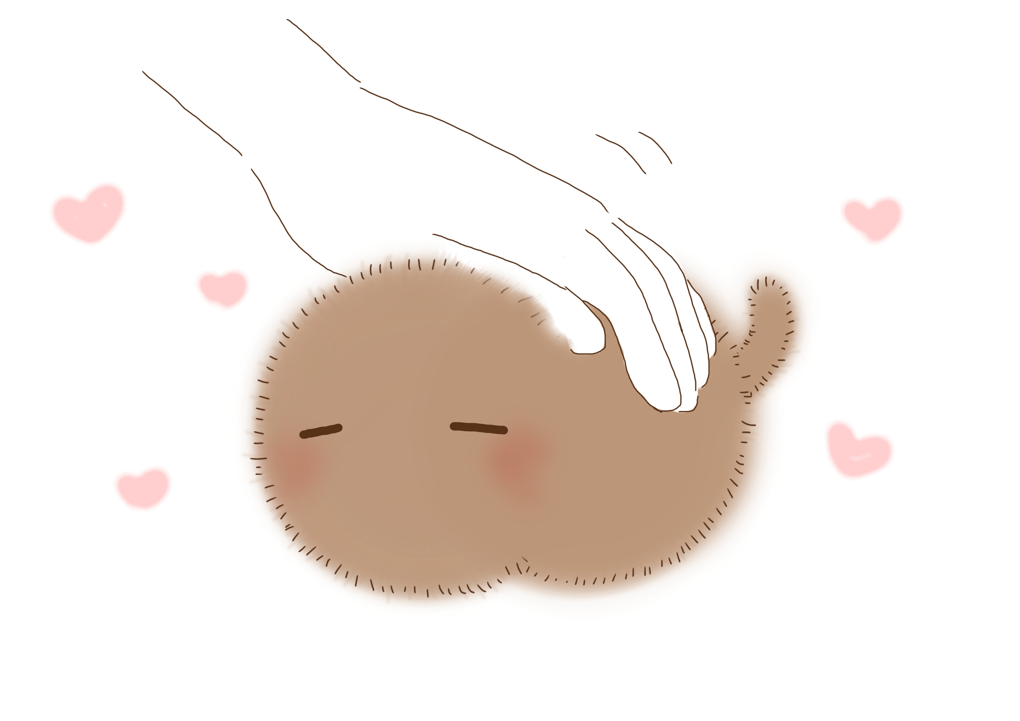 コネコモドキ