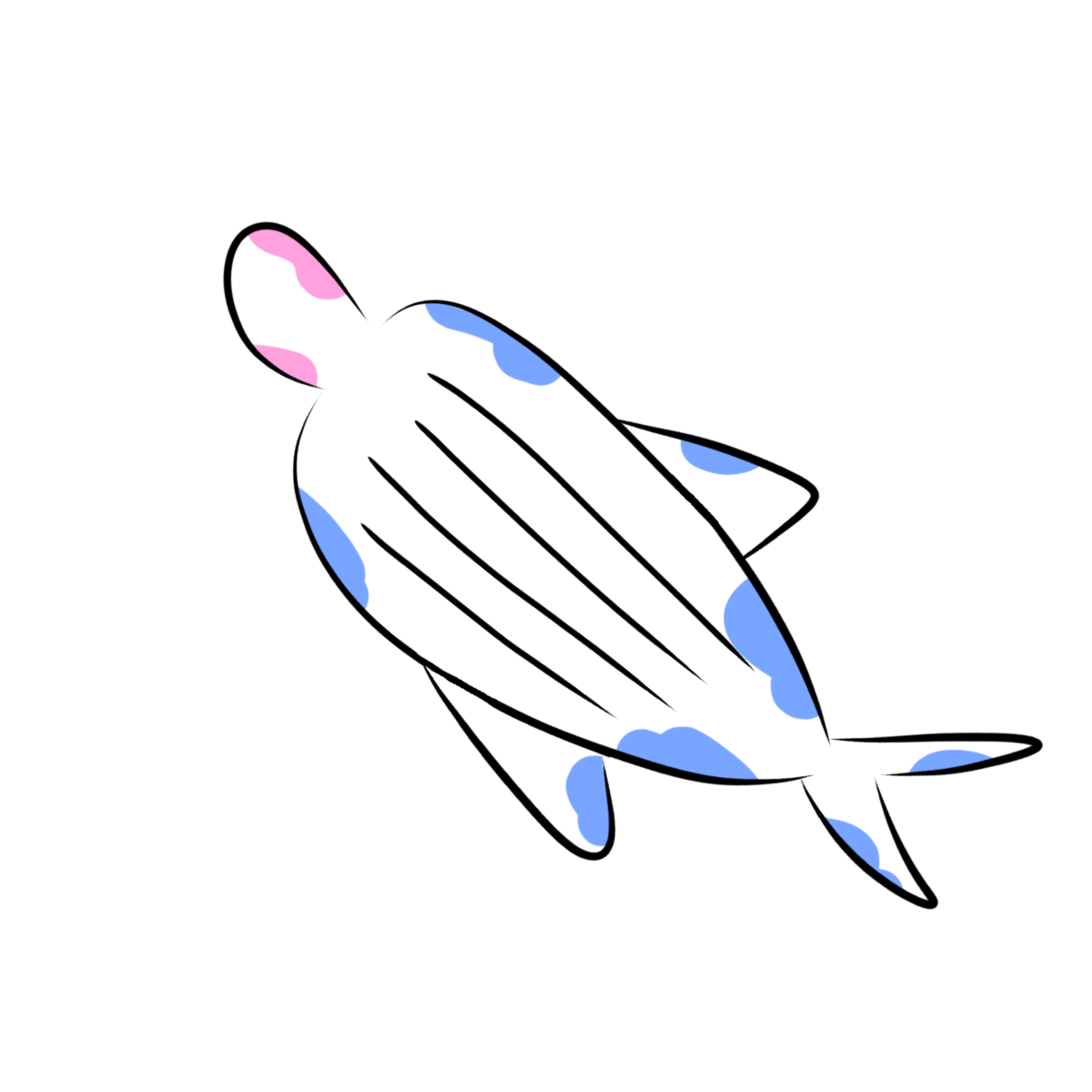 ヤンキーくじら