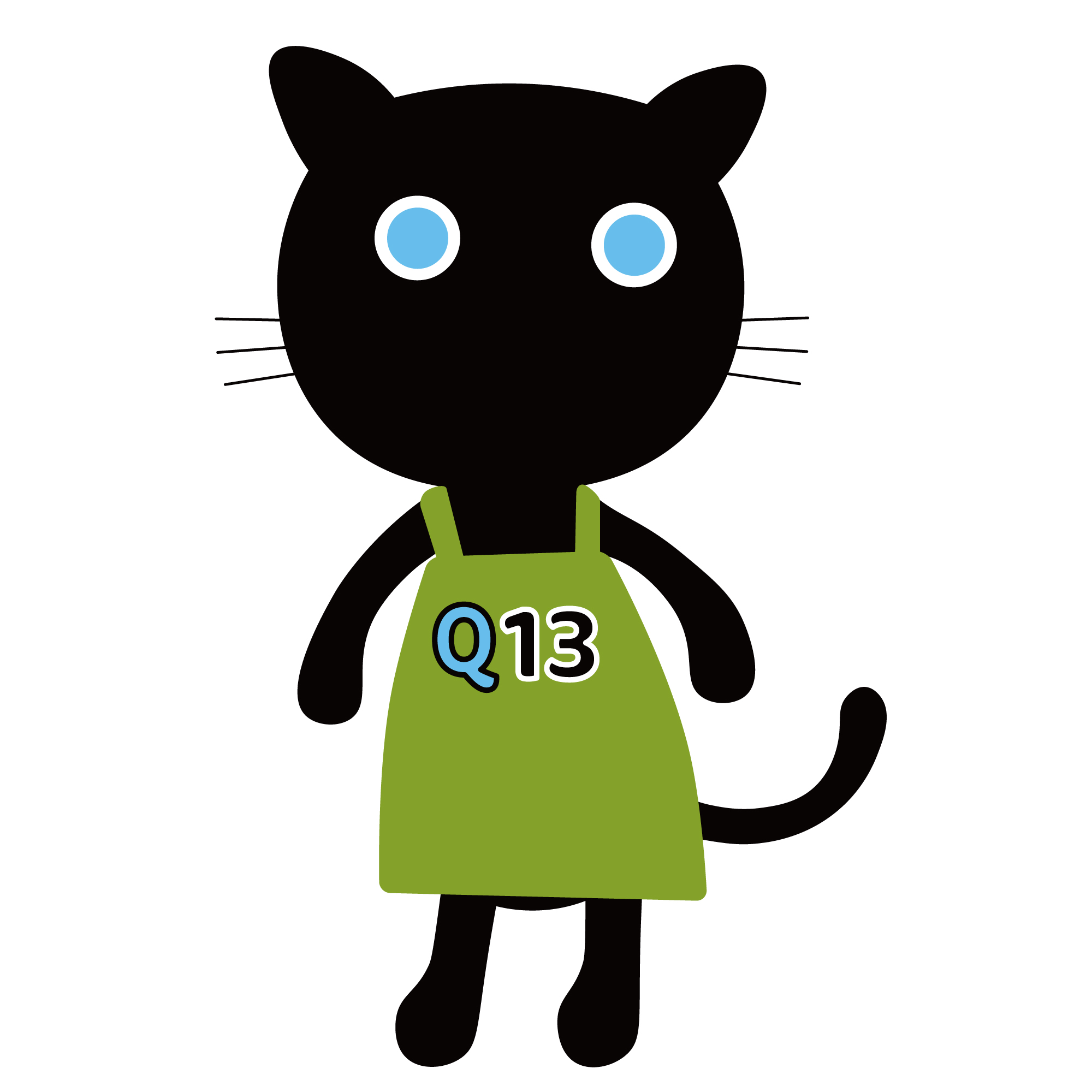 Q13