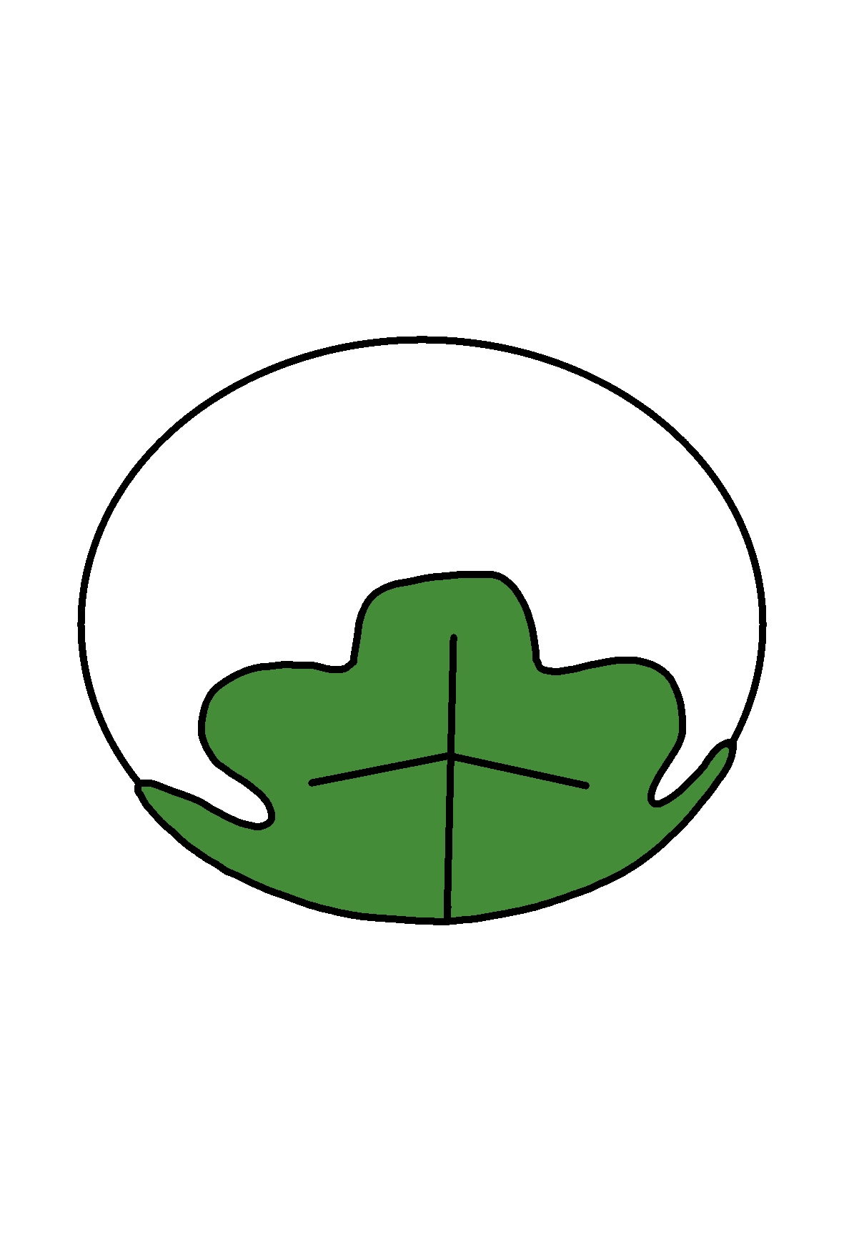 もっちー
