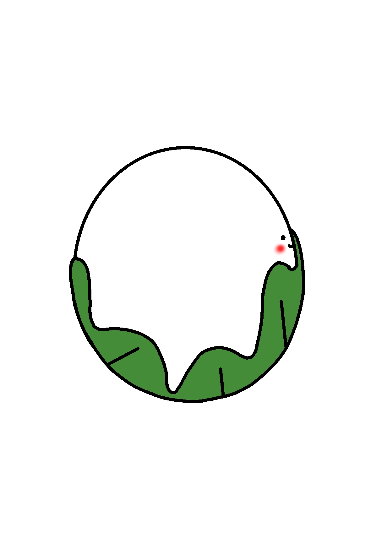 もっちー