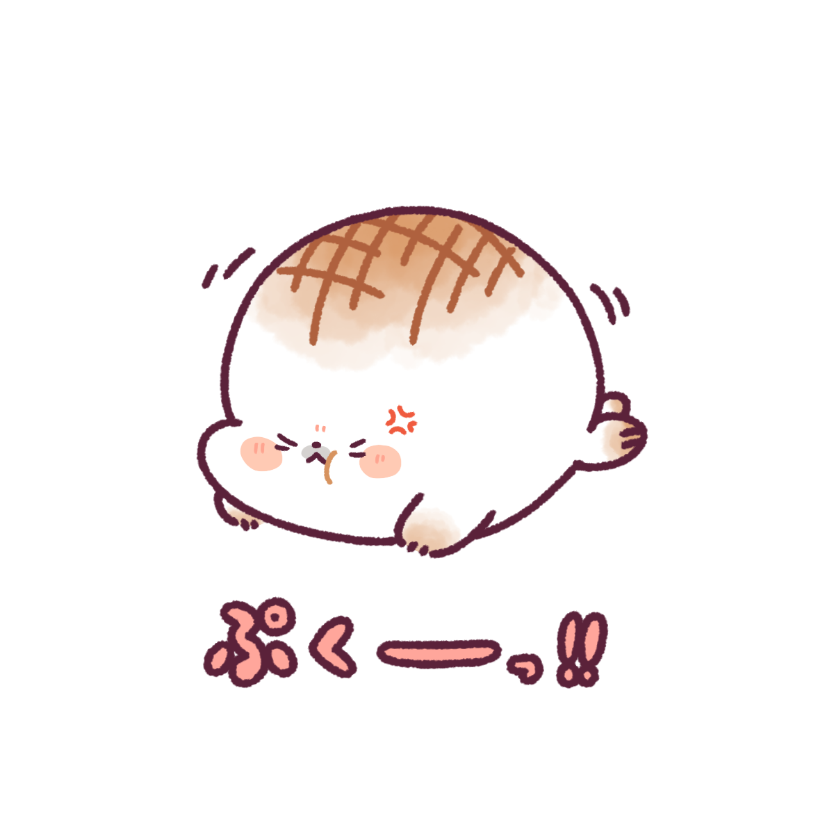 もっちざらし