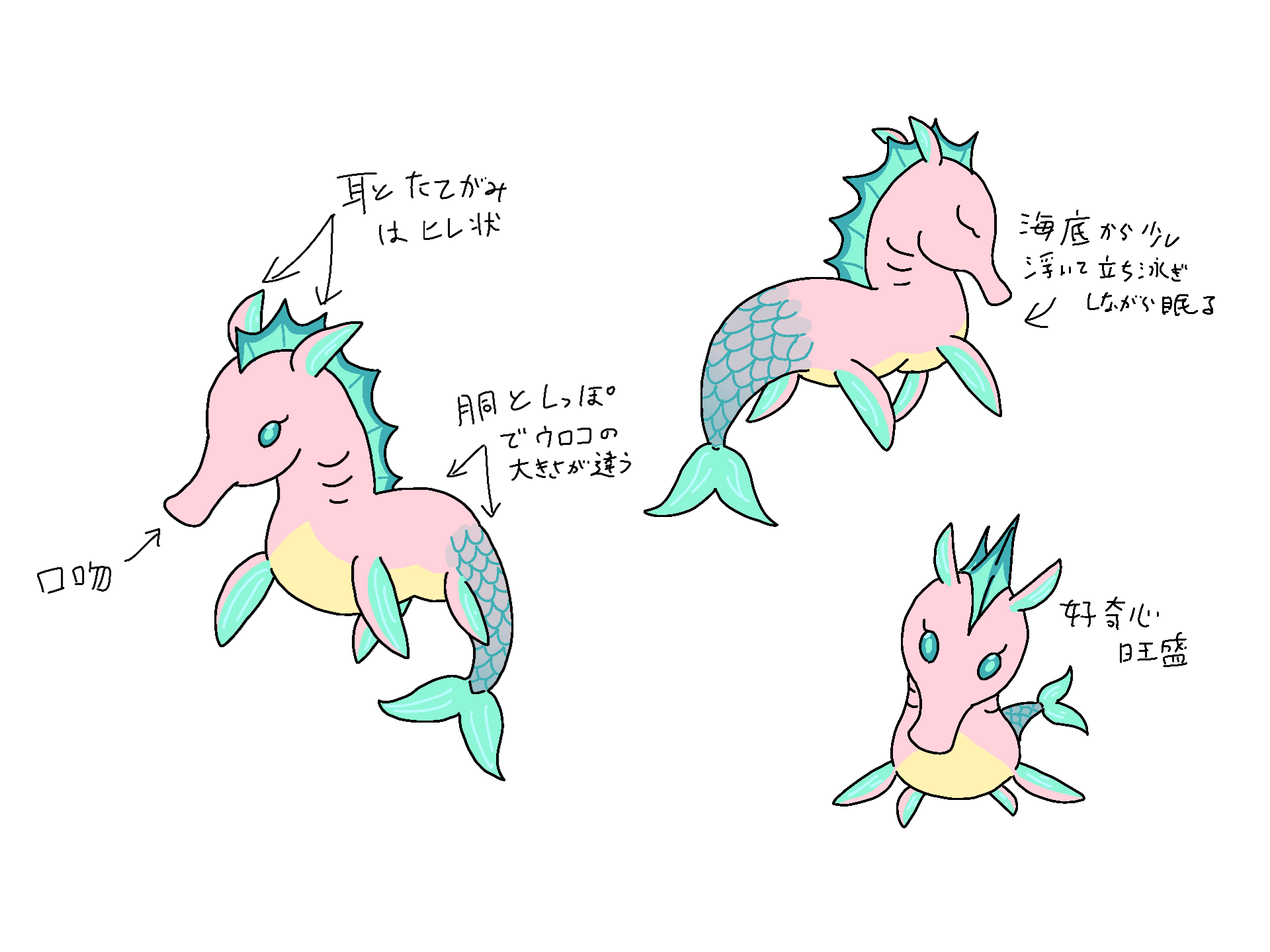 ヒッポカンポスのケルプ
