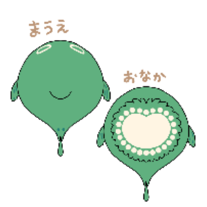 もちッぴたッと だんごうお