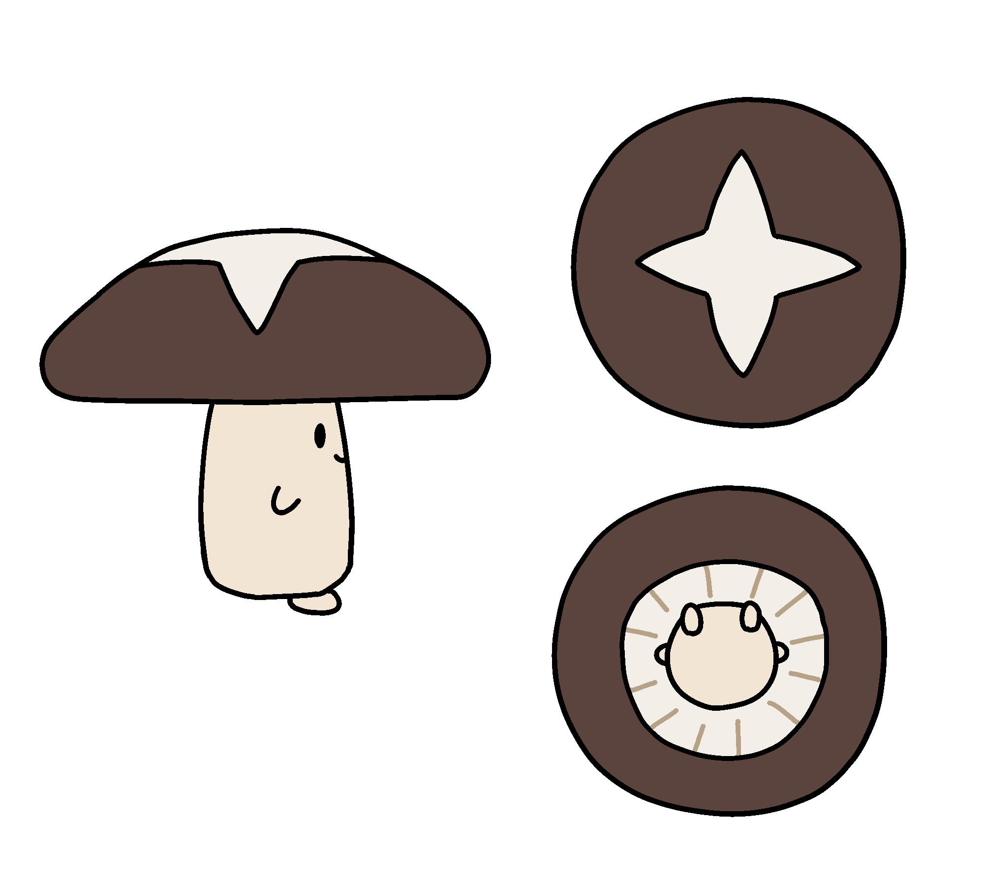 ふかふかシイタケ