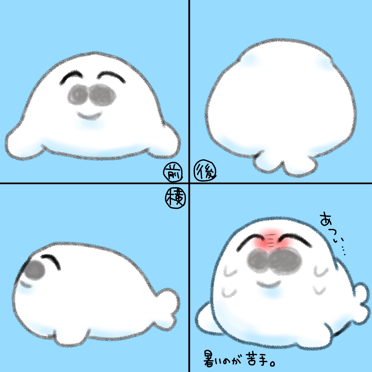 うちのぽんぽこあざらしさん