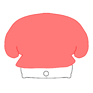 もちずきん