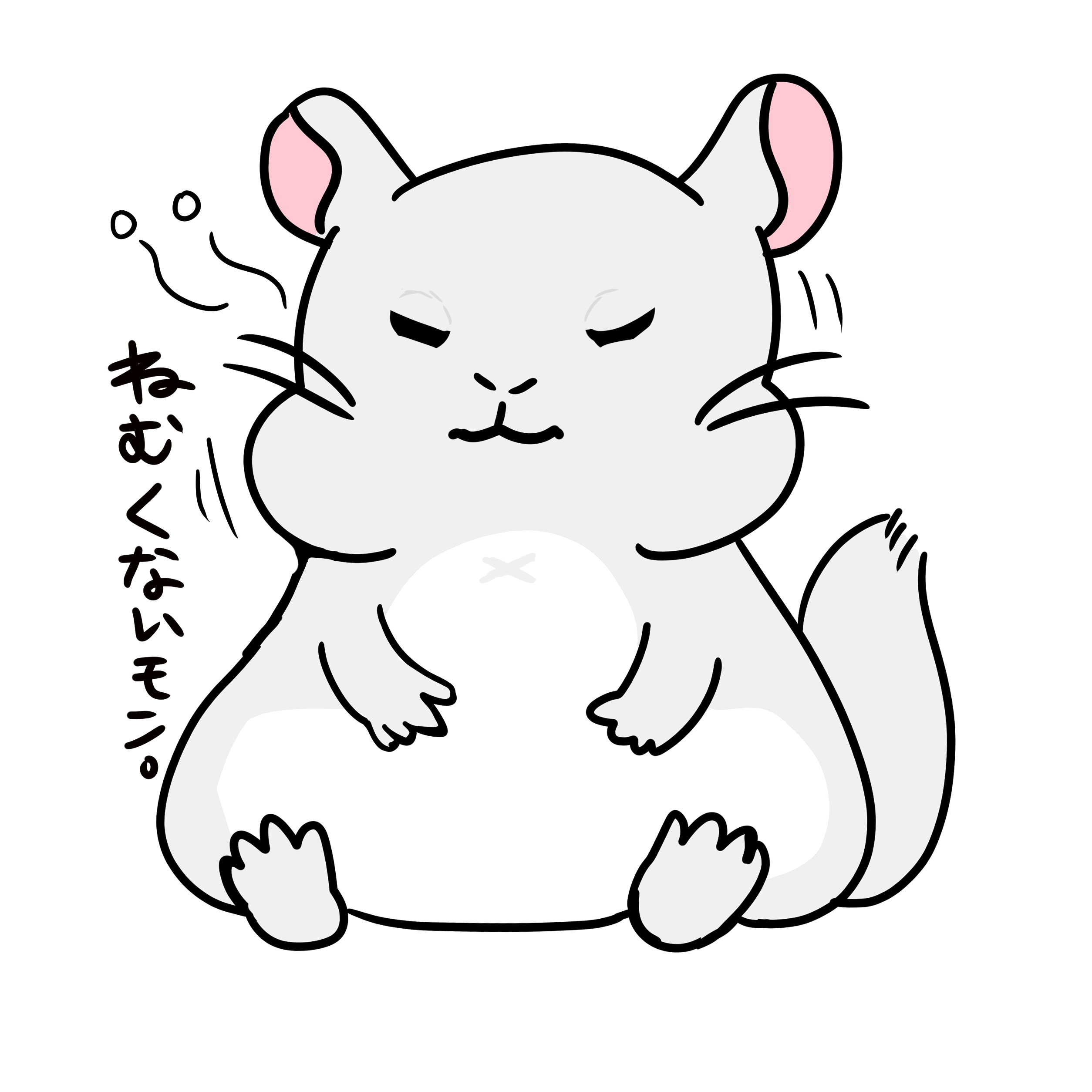 もちもチンチラ