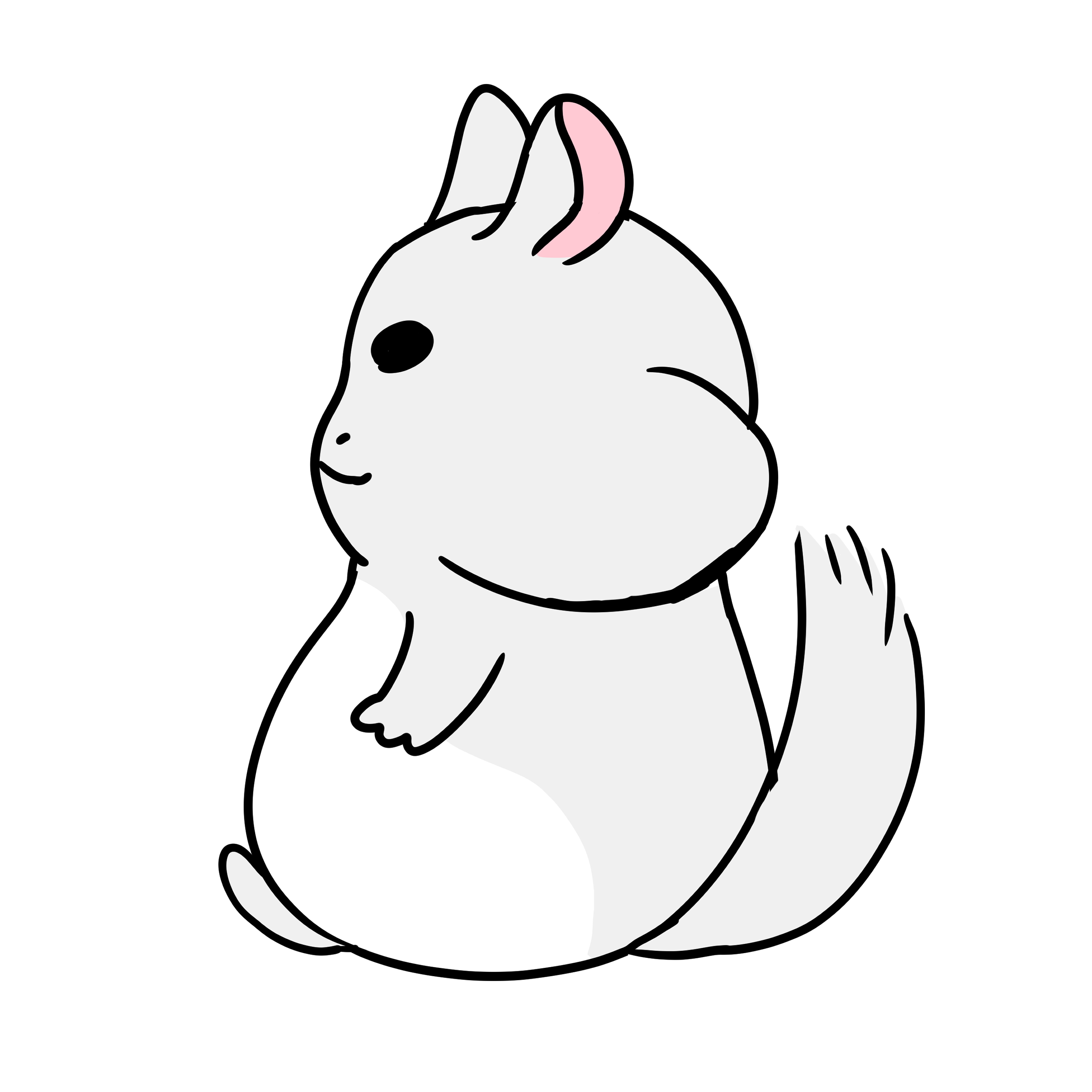 もちもチンチラ