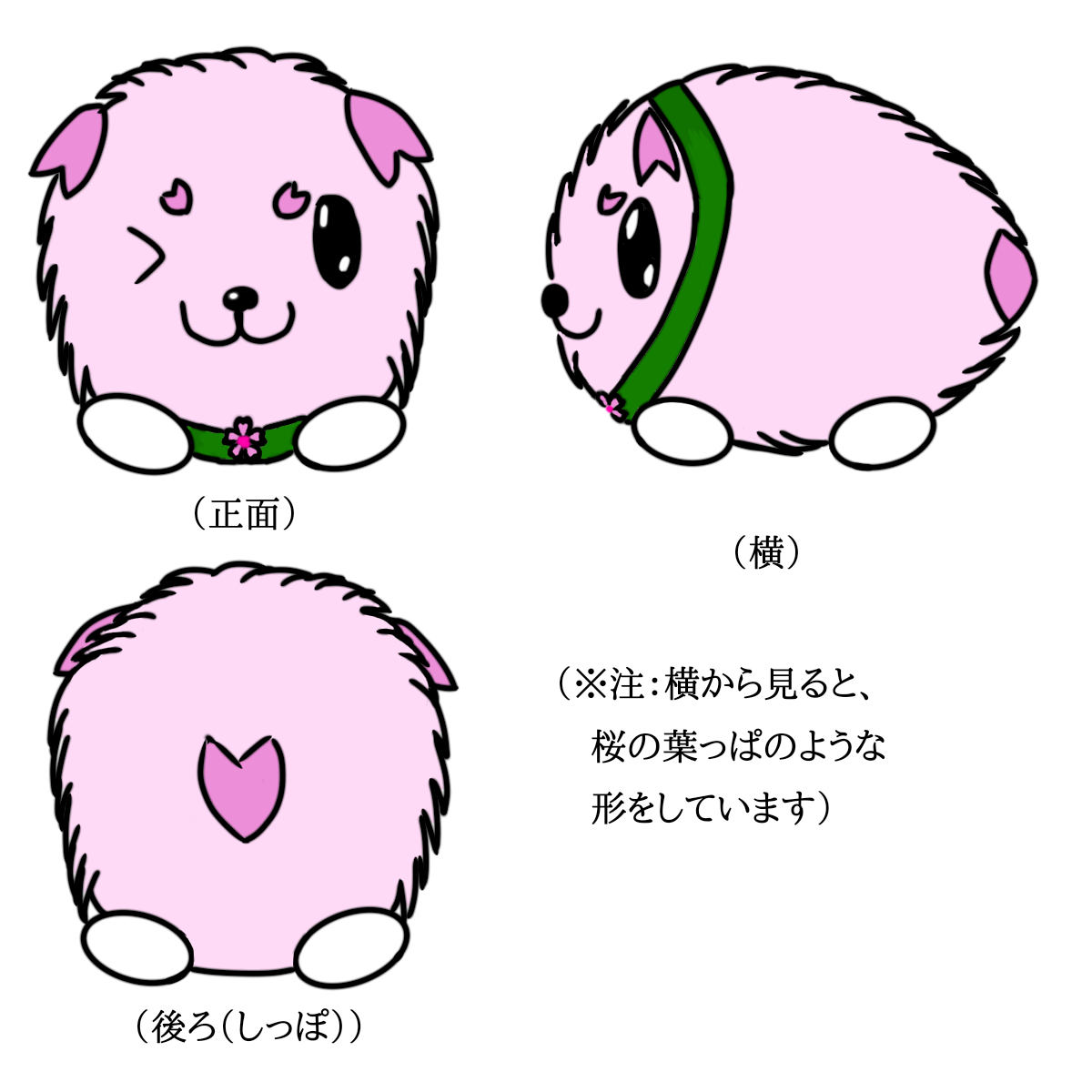 けだまイヌのサクラ
