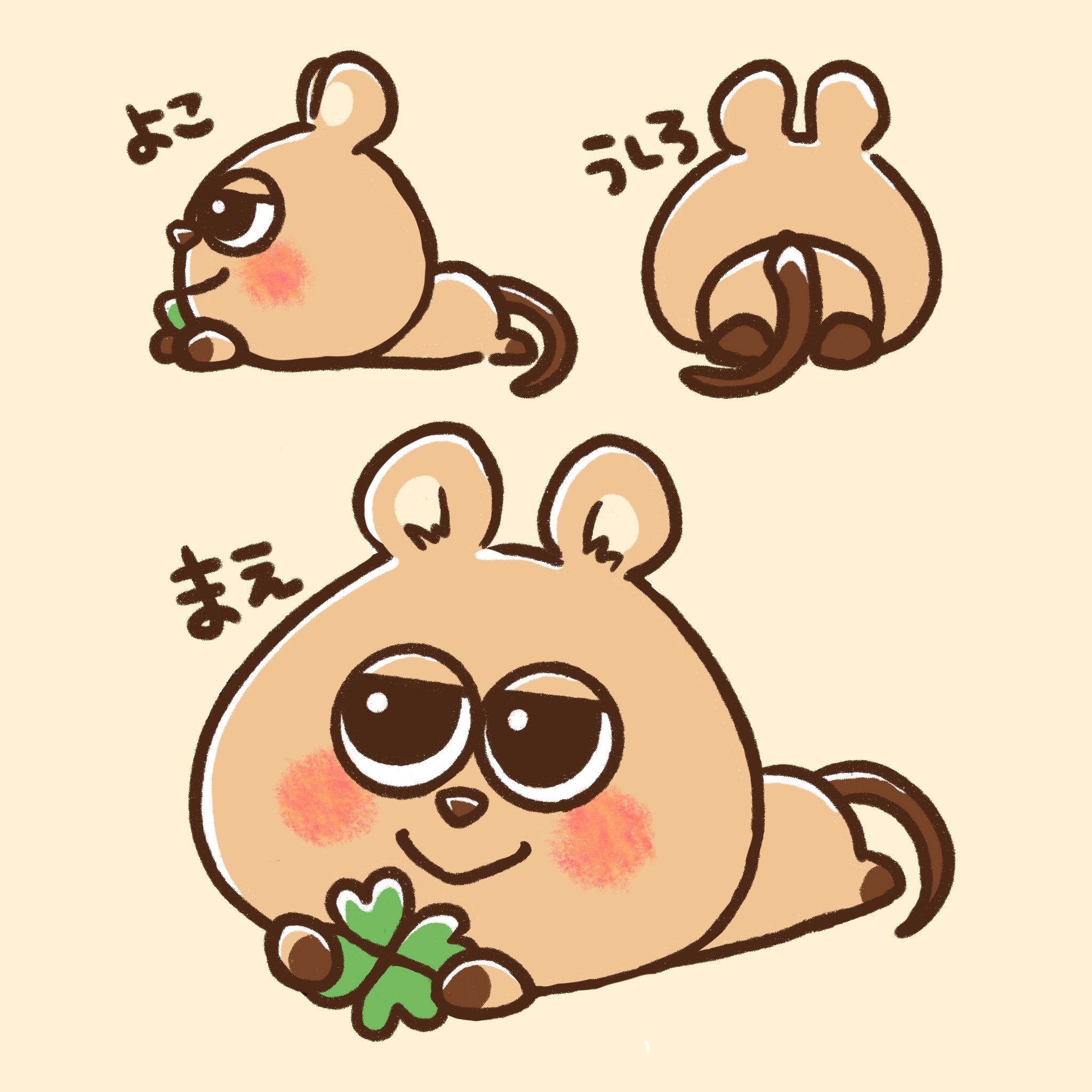 くぉっか日和｜くぅたろ