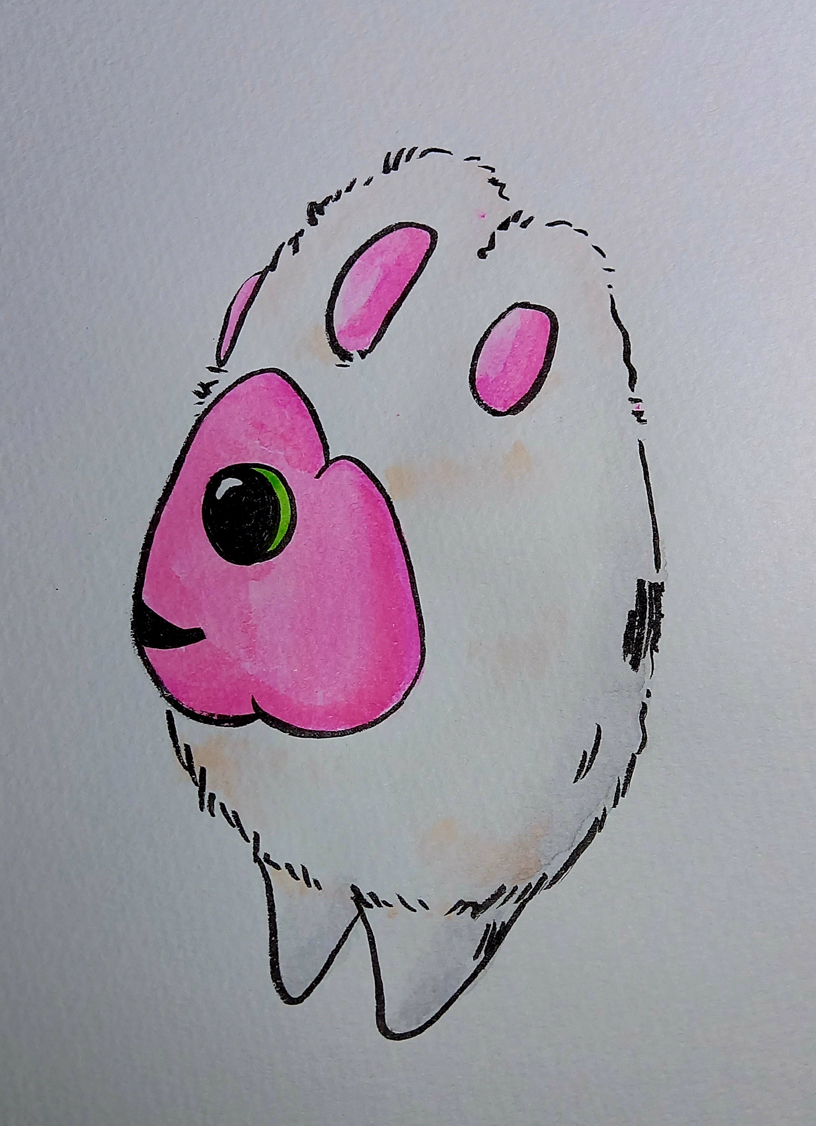 にっキュン