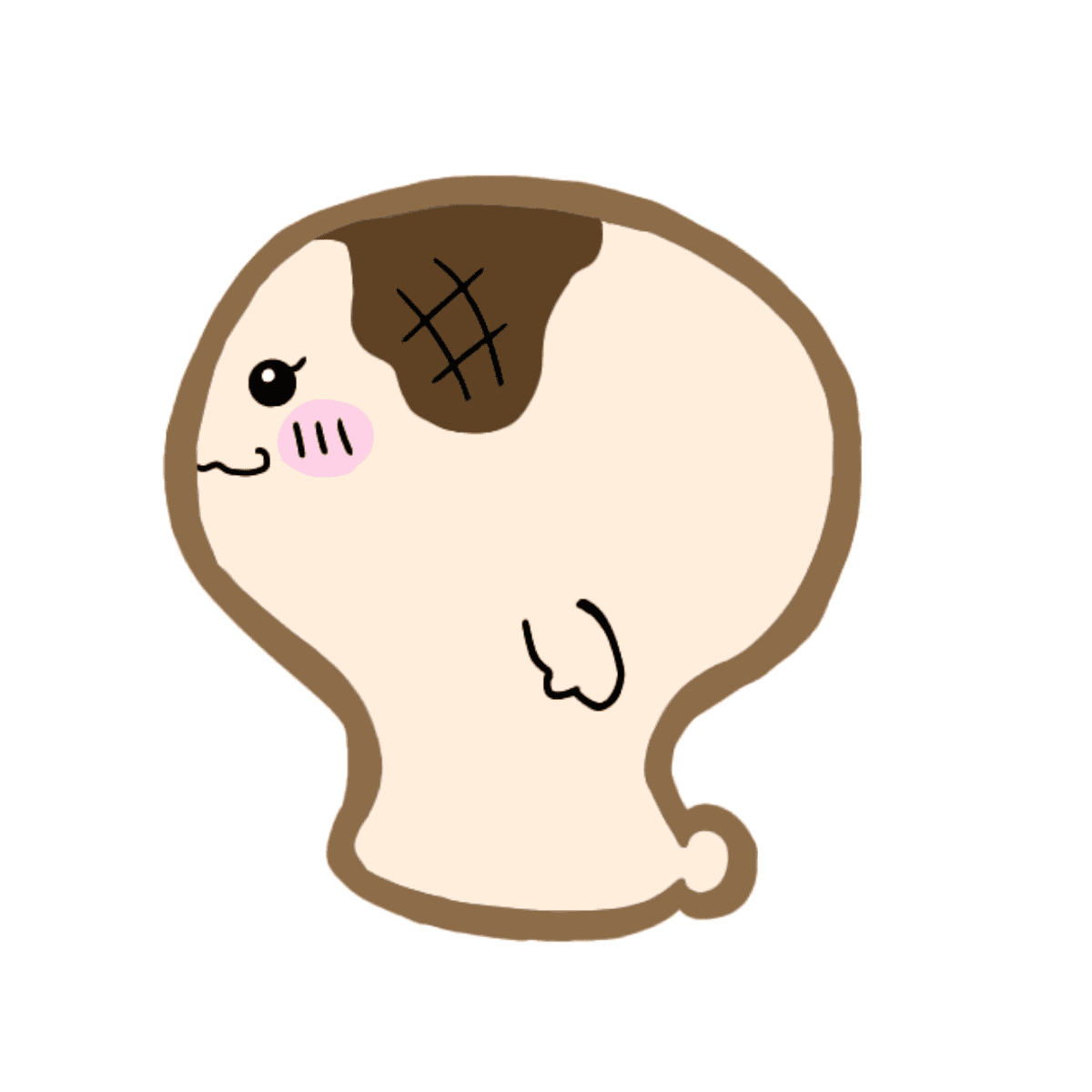 もっちゃん