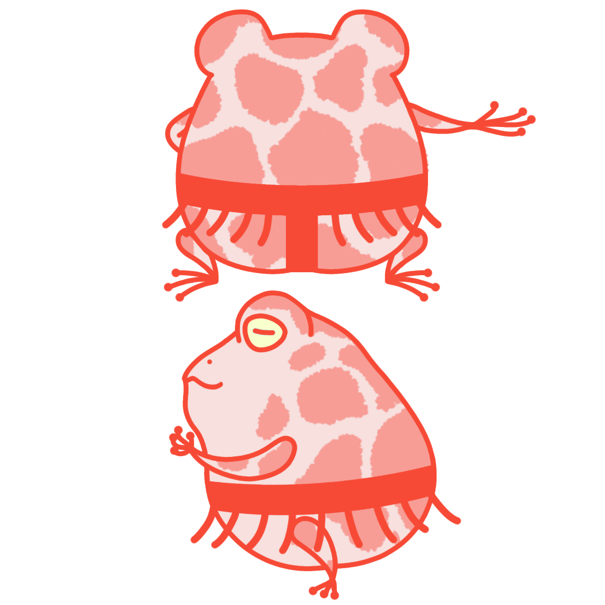 もっちりカエル