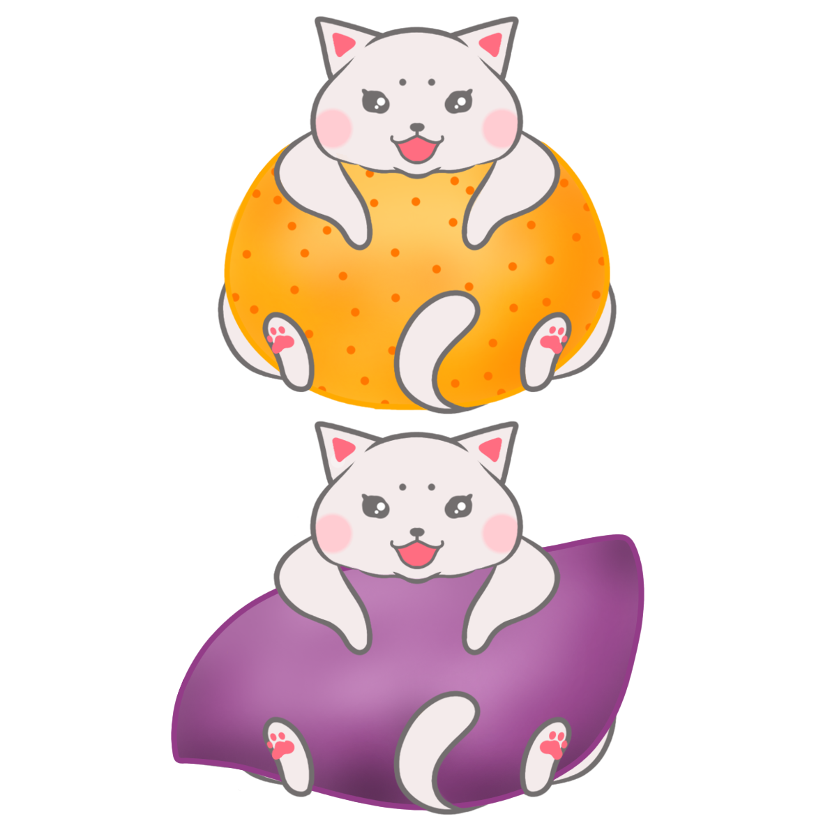 もっちにゃん