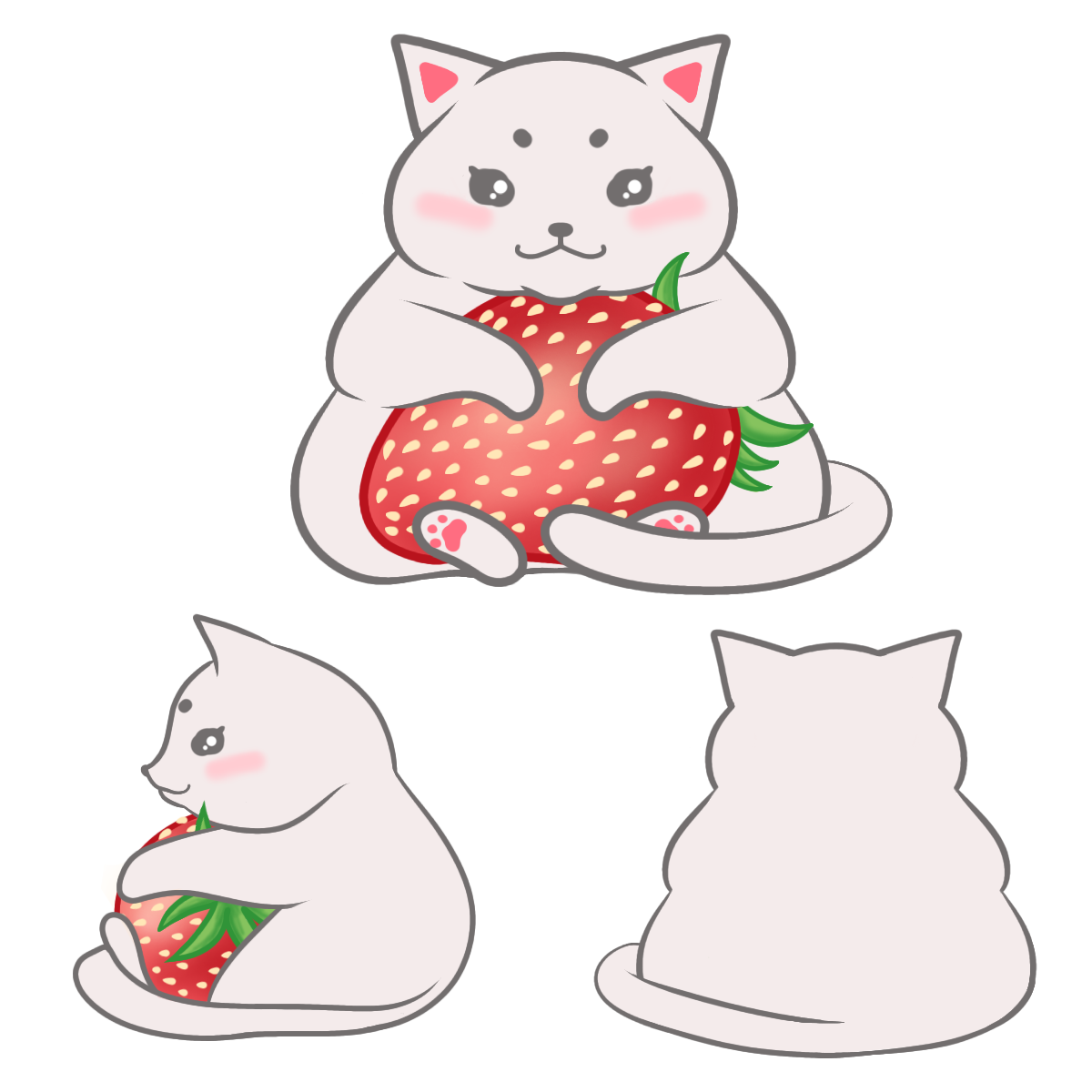 もっちにゃん