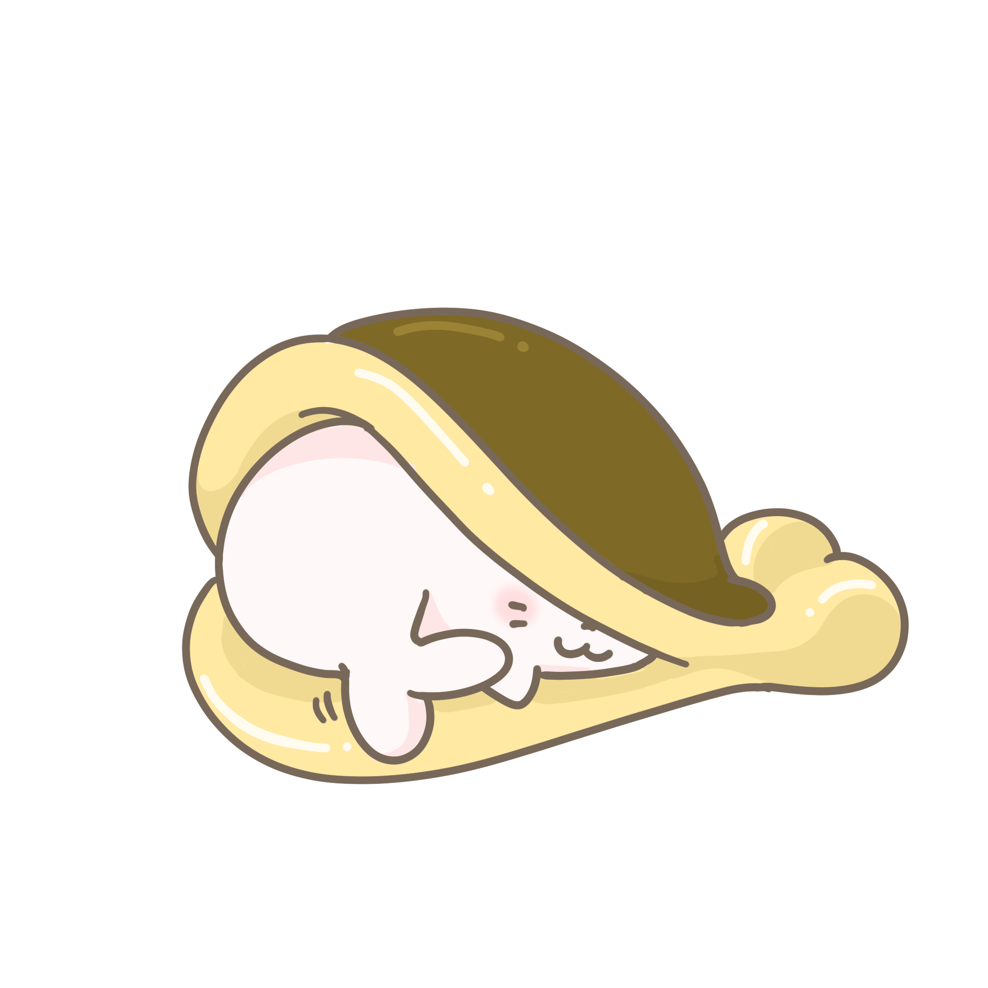 どらざらし