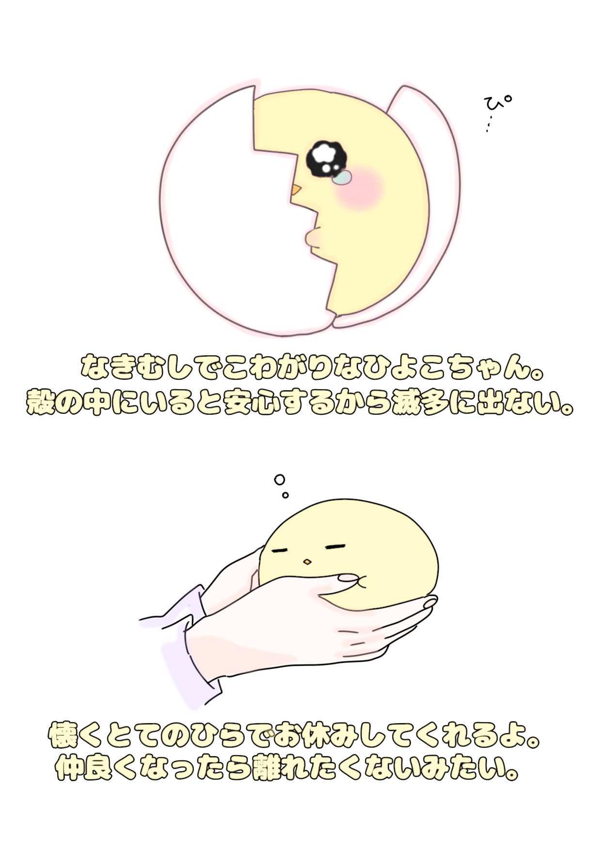 ぴよたま
