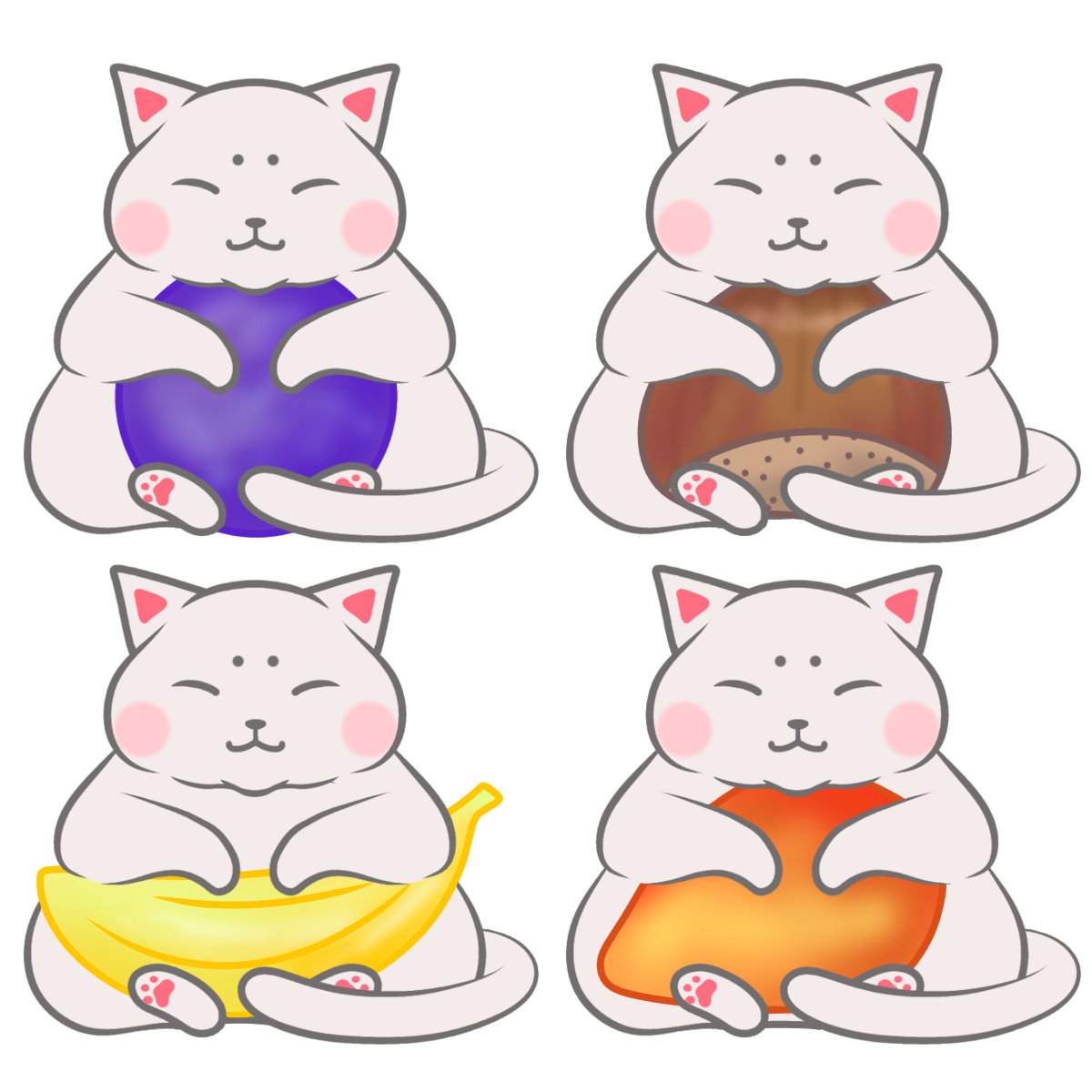 もっちにゃん