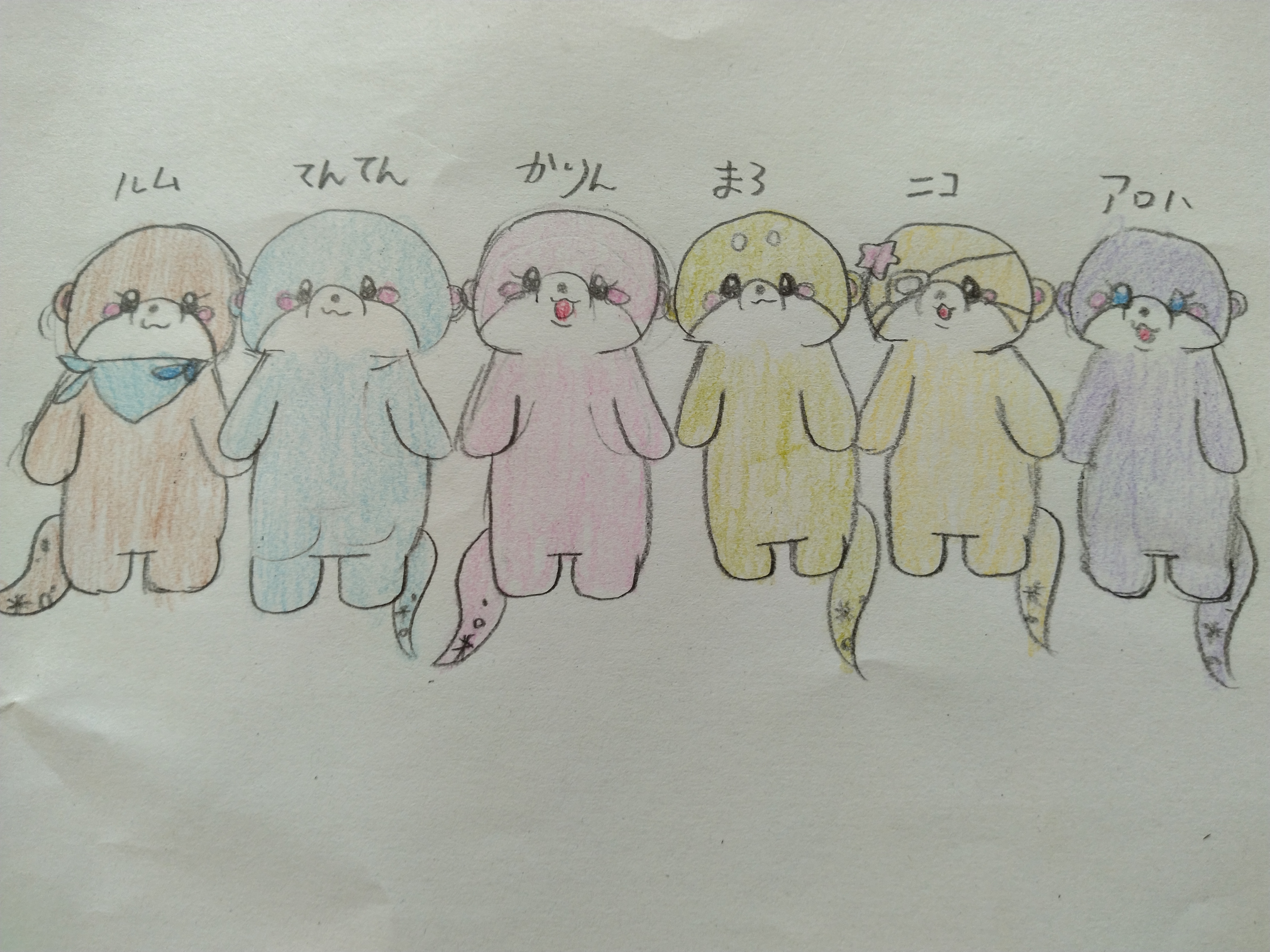 きゃわうそ