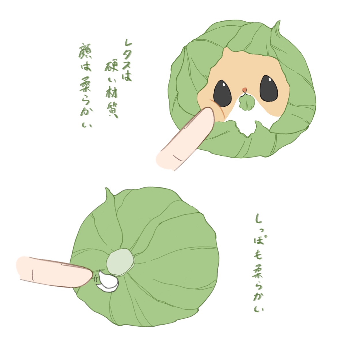 レタスハムスター