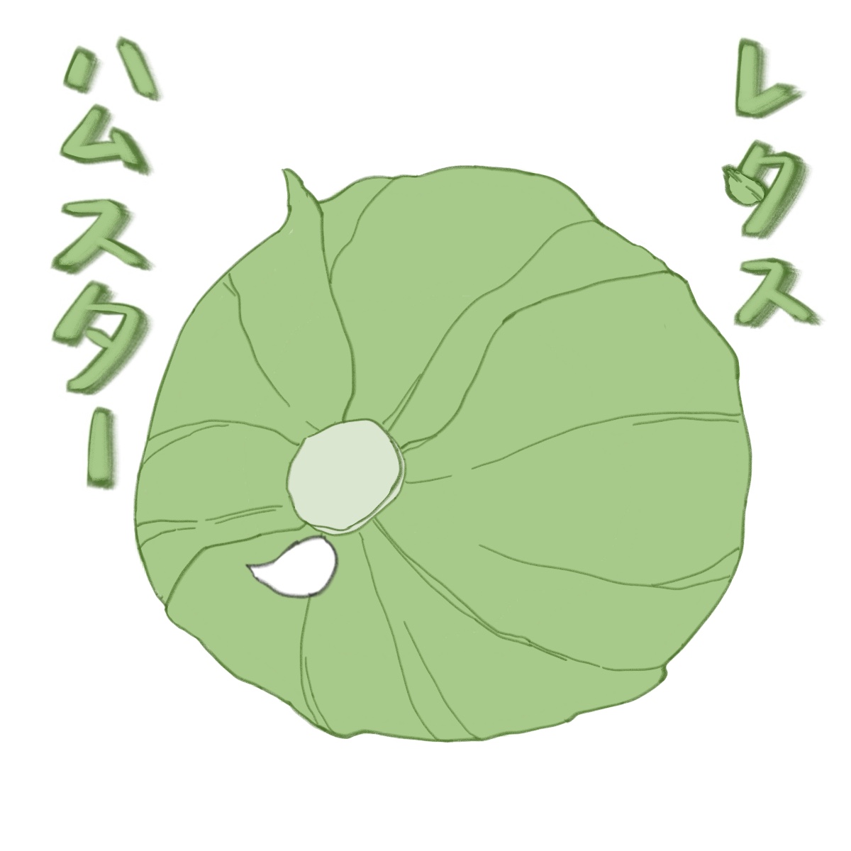 レタスハムスター