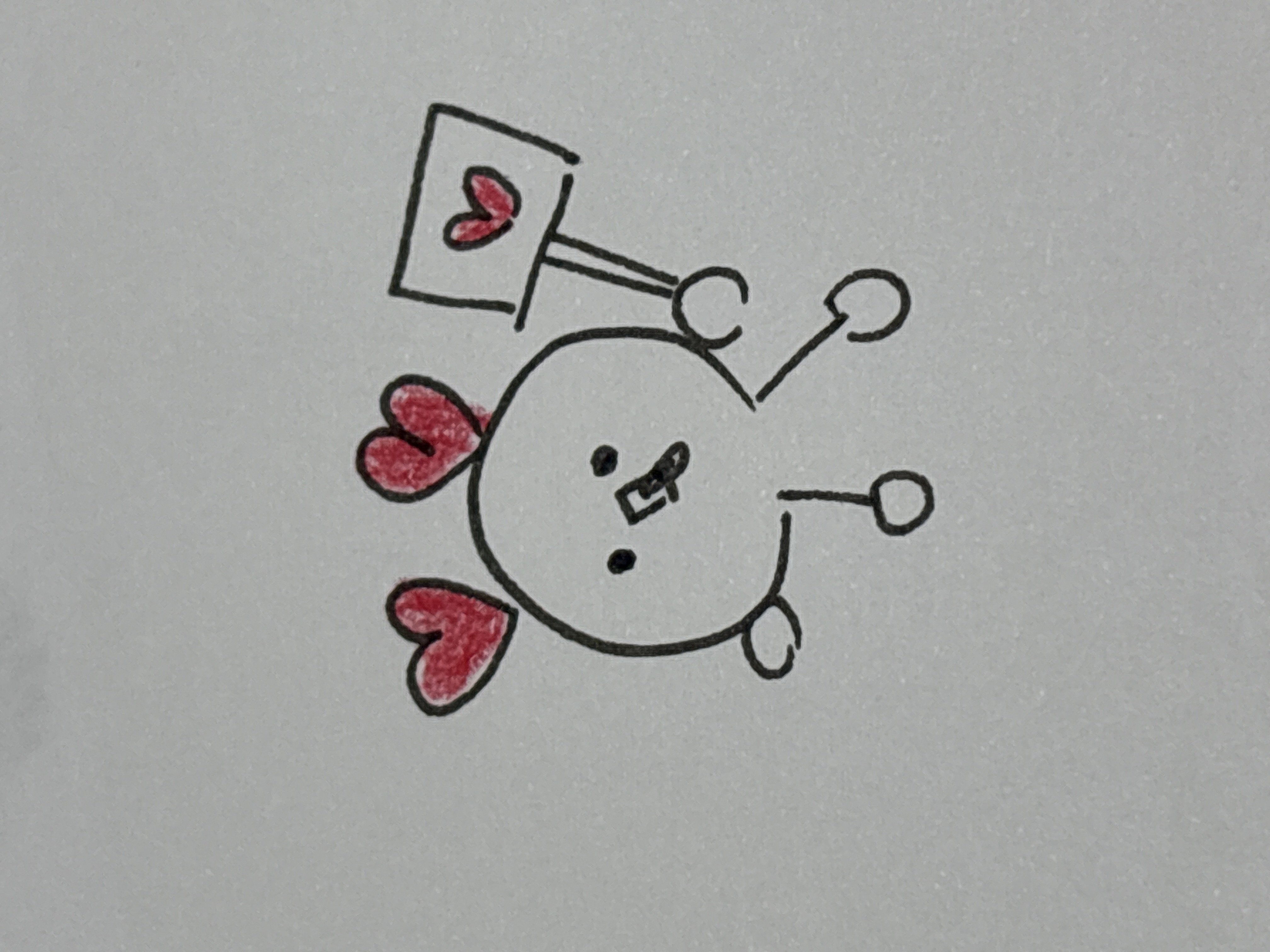 ハコト