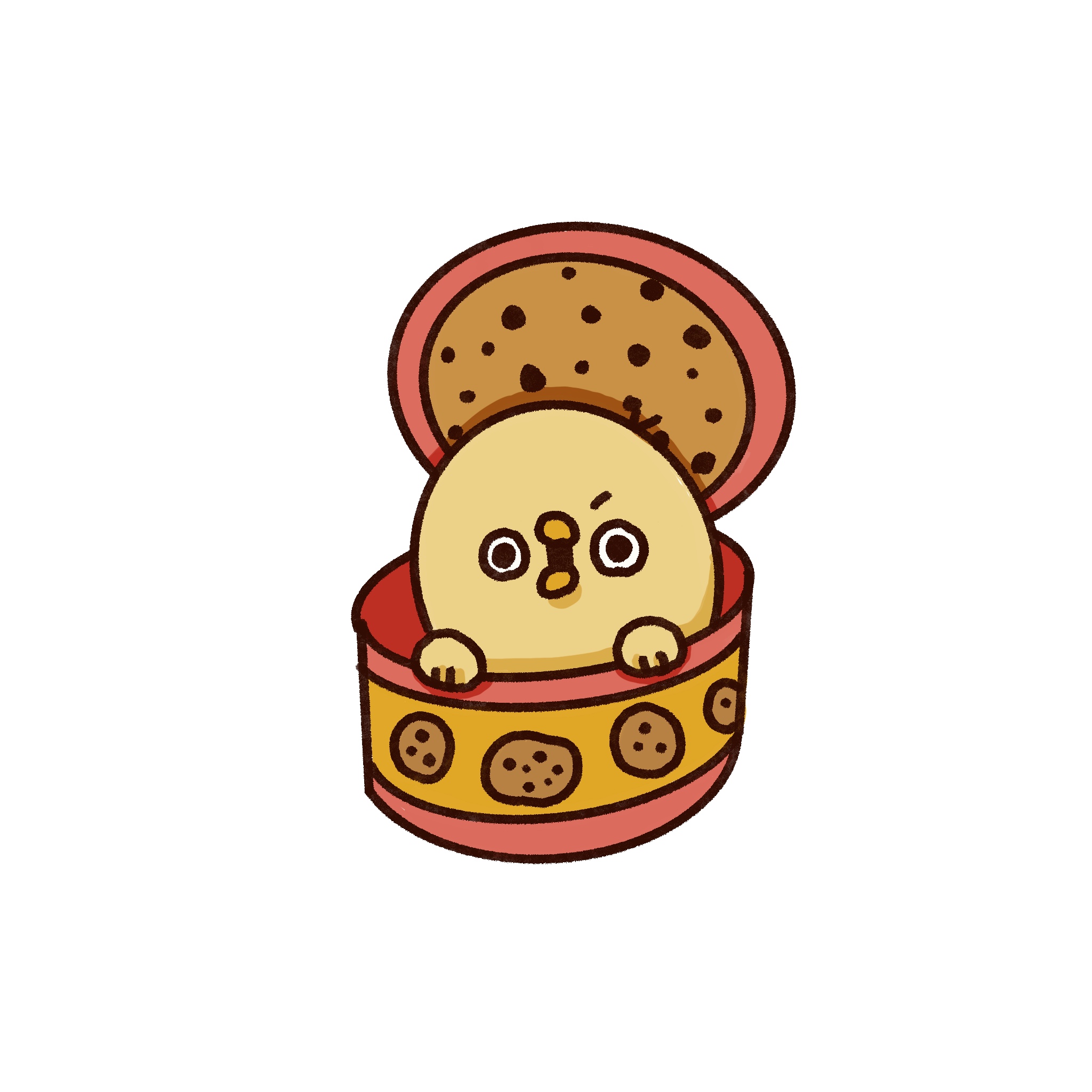 ハコノコ