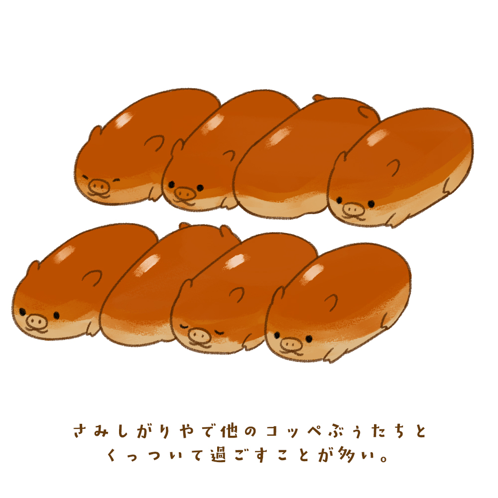 コッペぶぅ