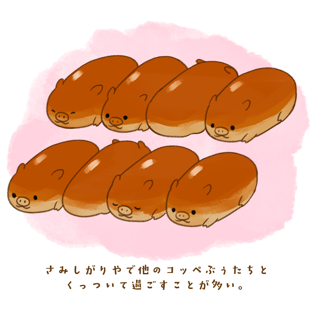 コッペぶぅ