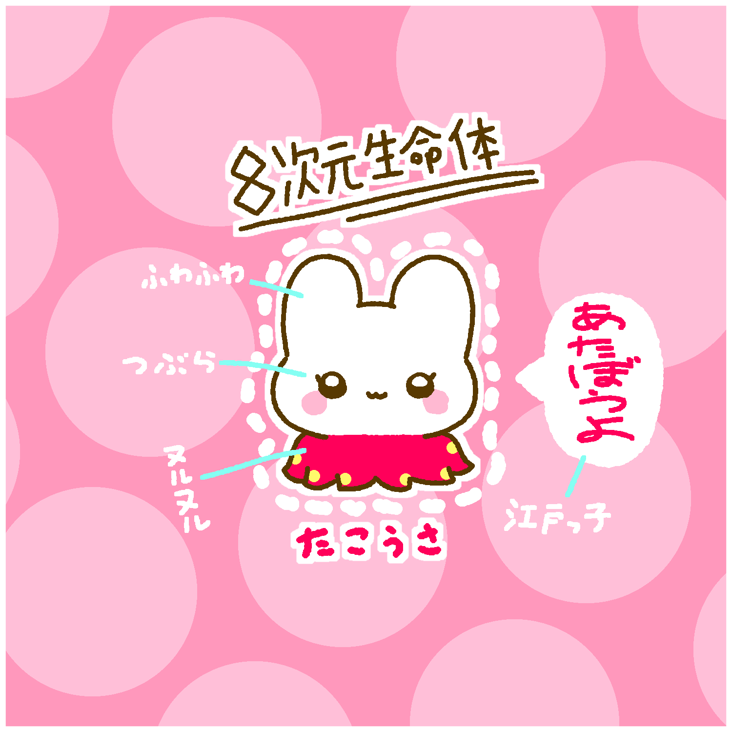 ８次元生命体たこうさ