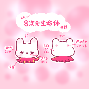 ８次元生命体たこうさ