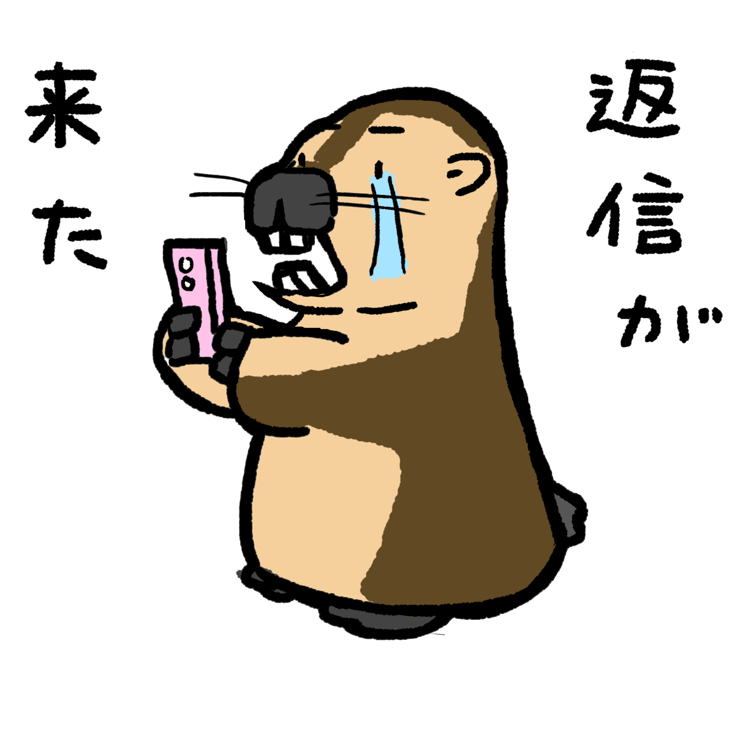 激情型マモルくん