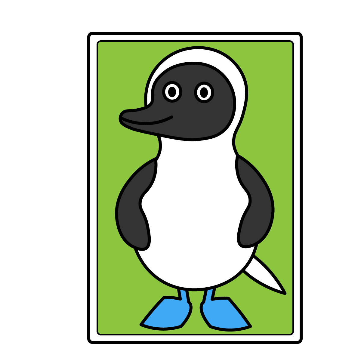 ナリキリアオアシカツオドリ