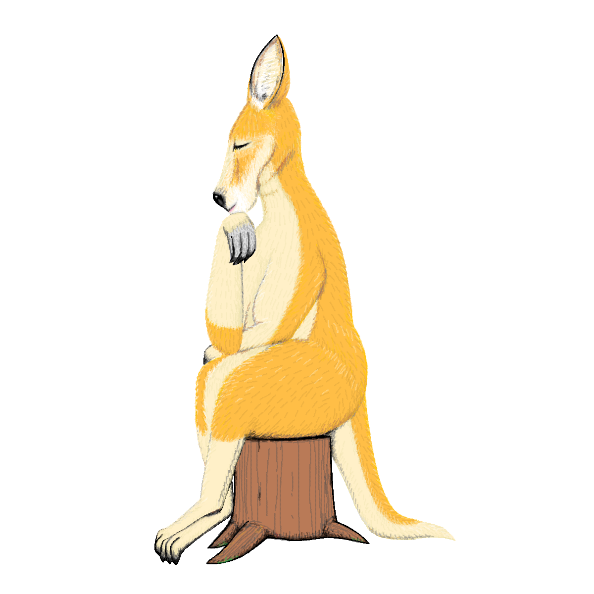 空想動物園のカンガエルー