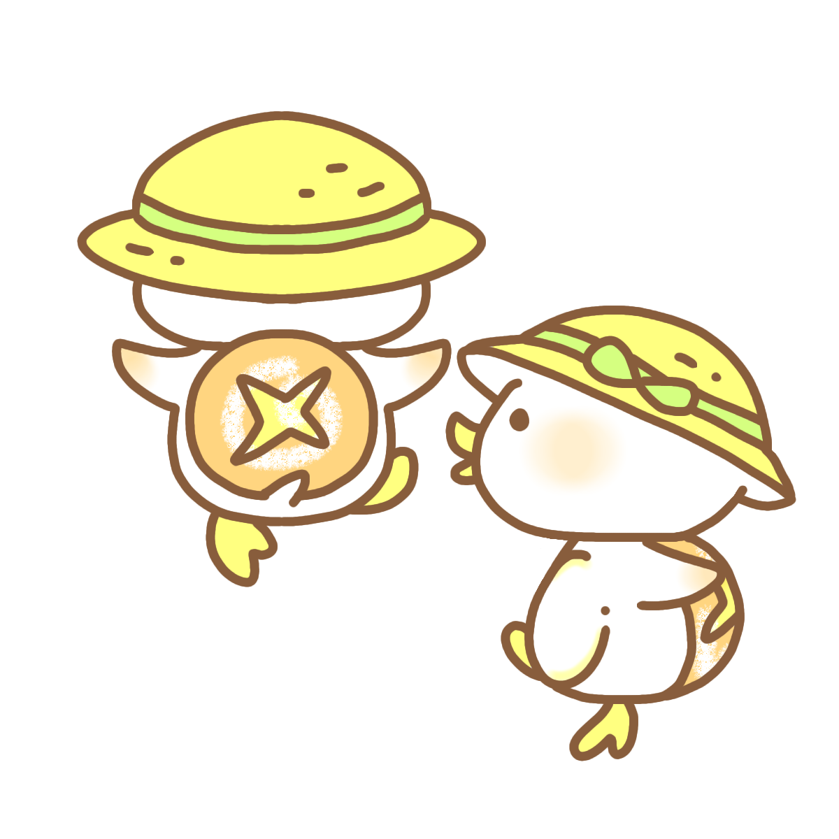 かっぱーにゅ
