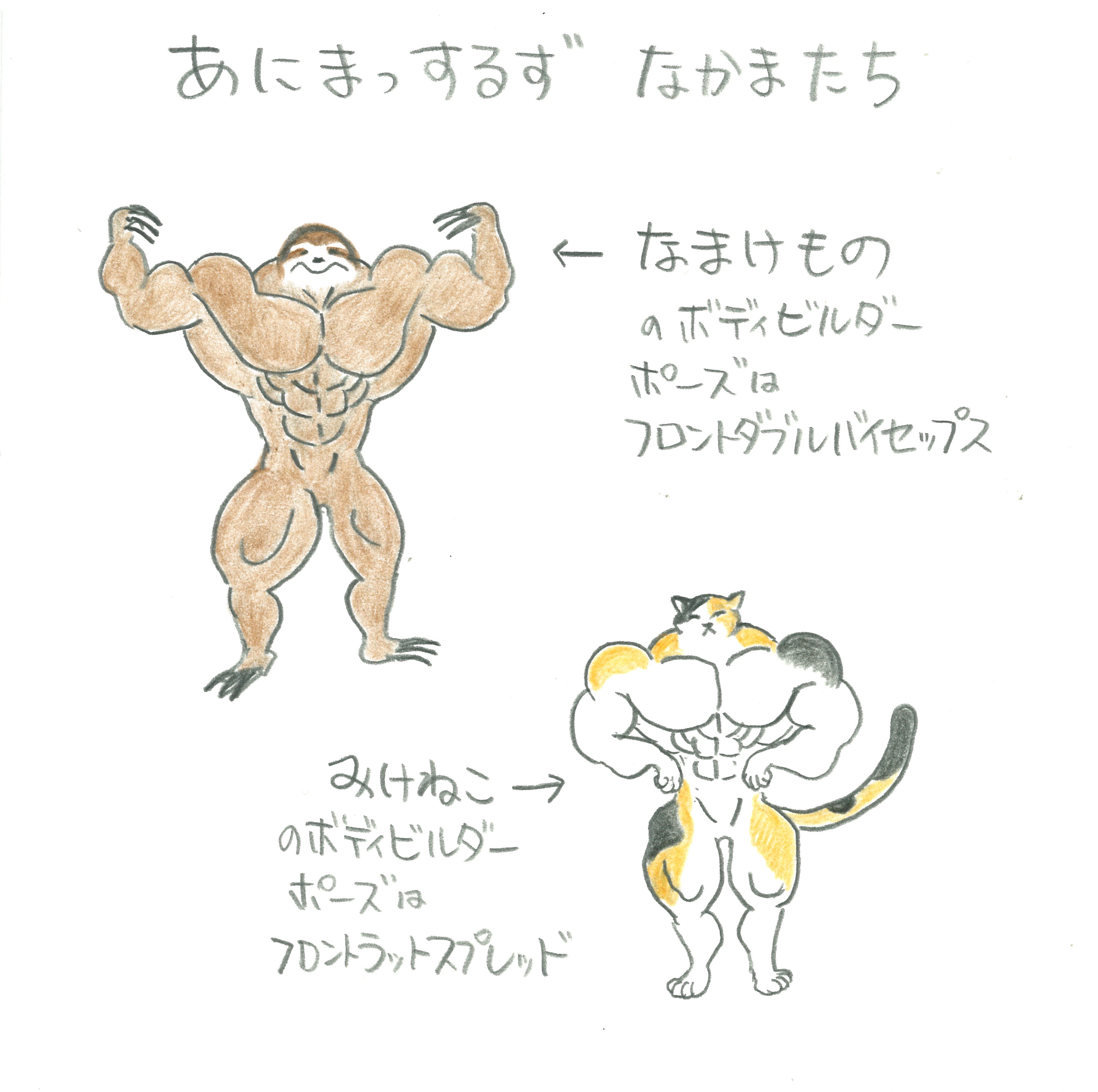 あにまっするず