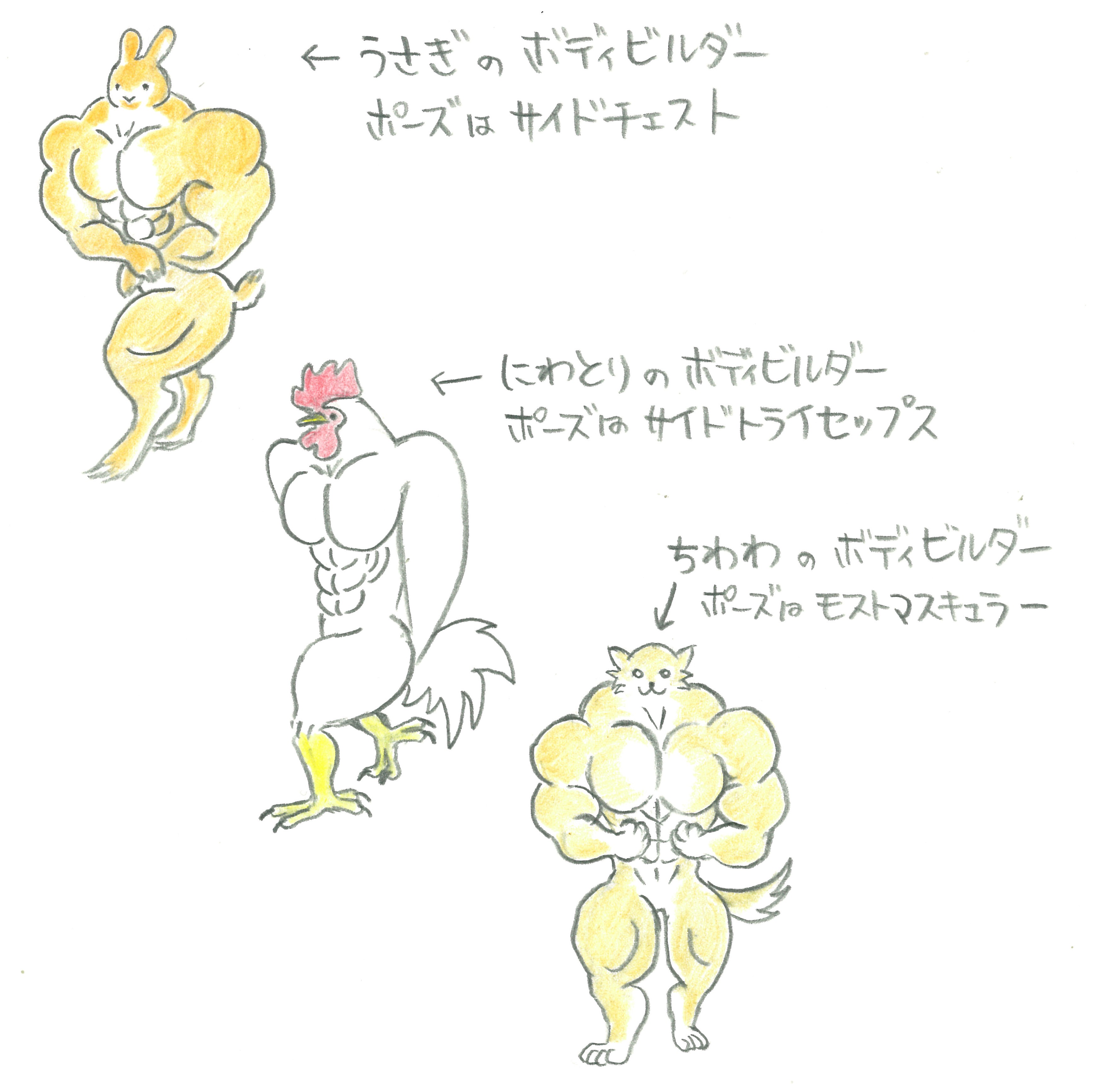 あにまっするず