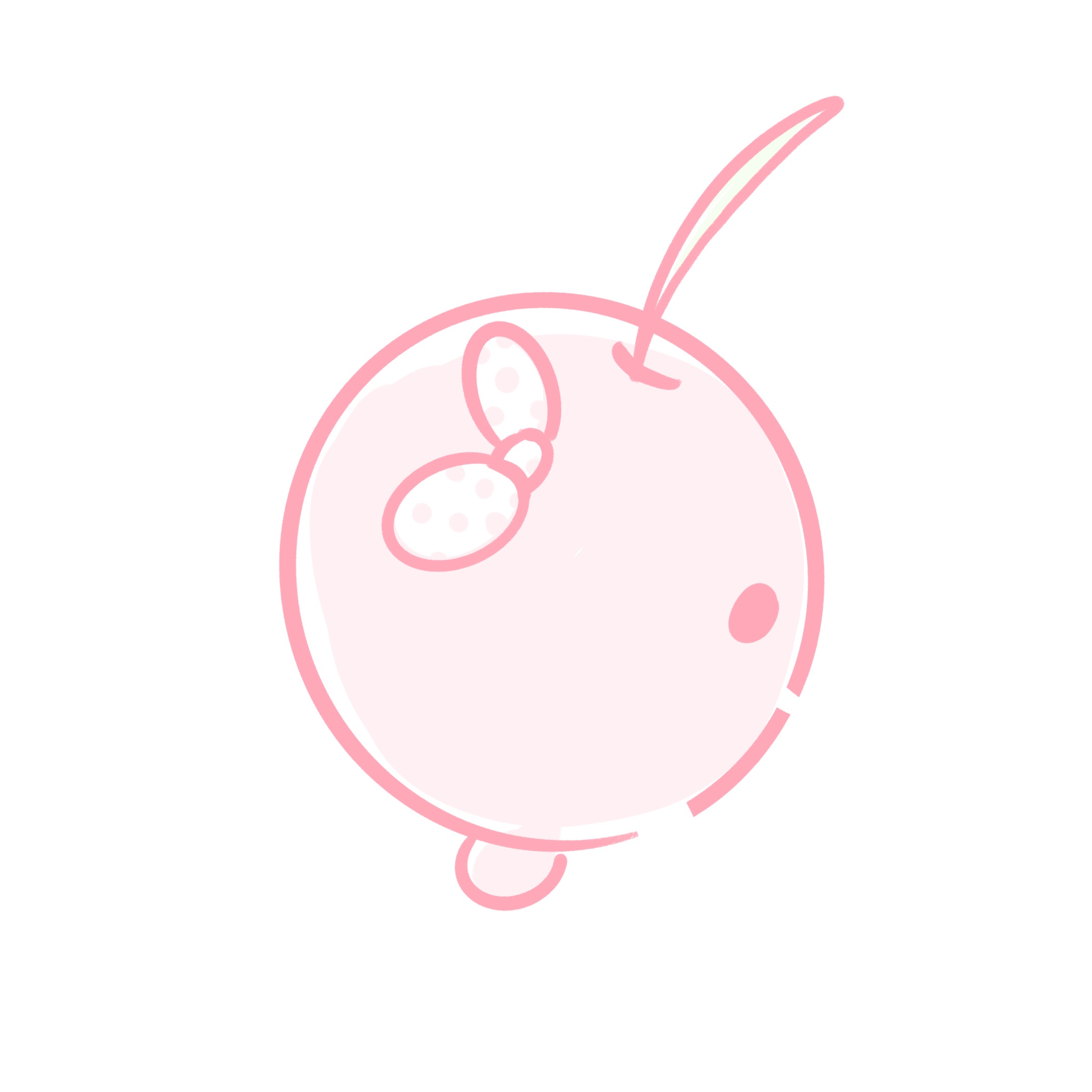 さくらんぽっ